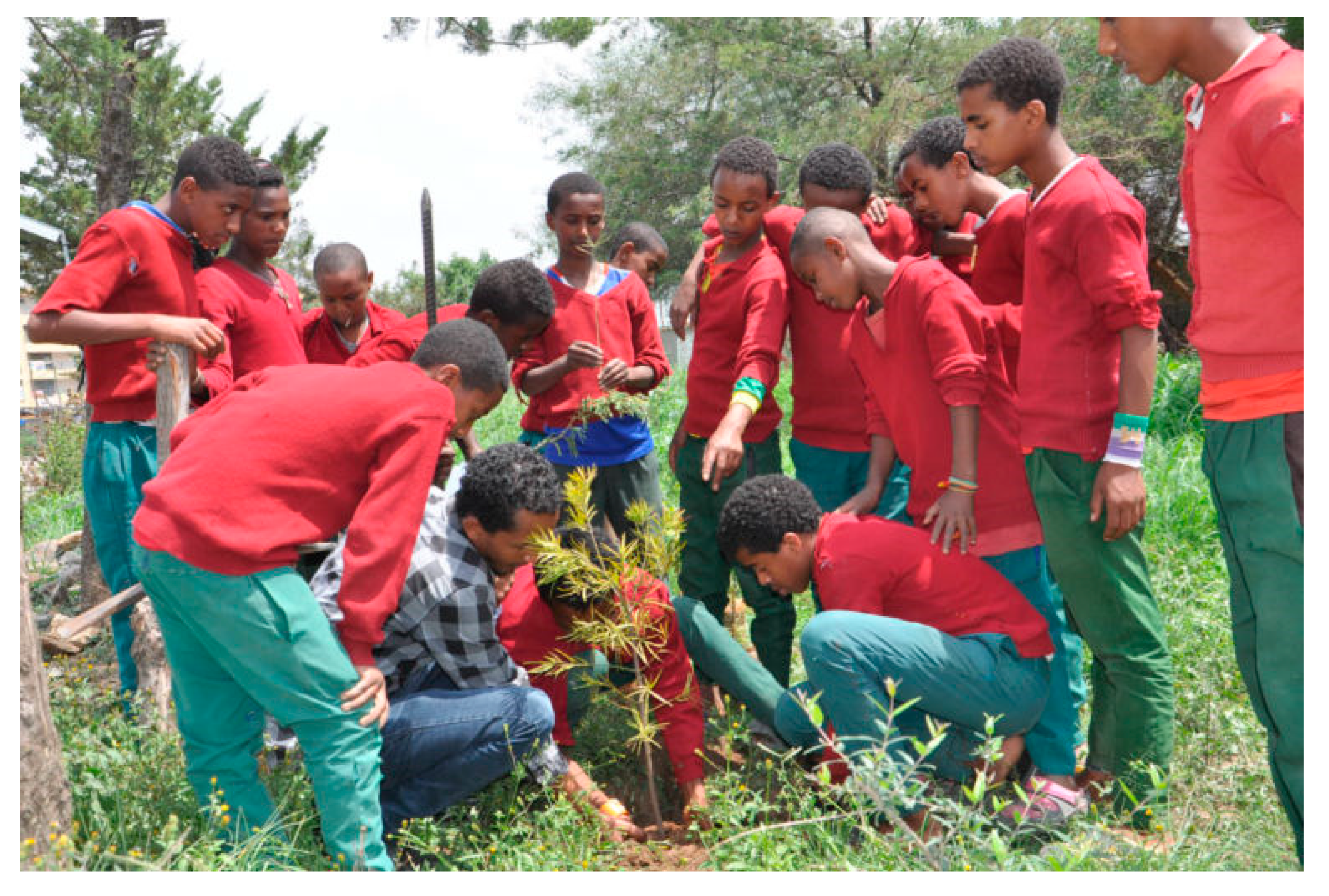 Preprints 96119 g002