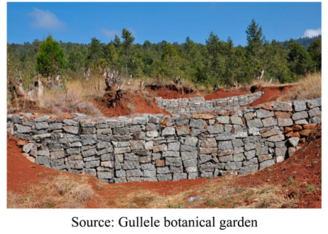 Preprints 96119 i002