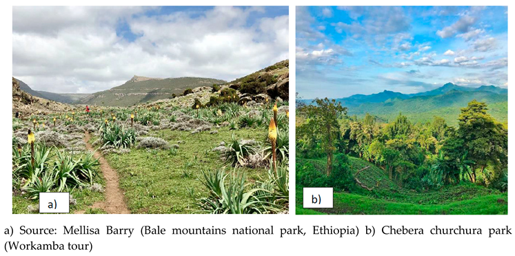 Preprints 96119 i003