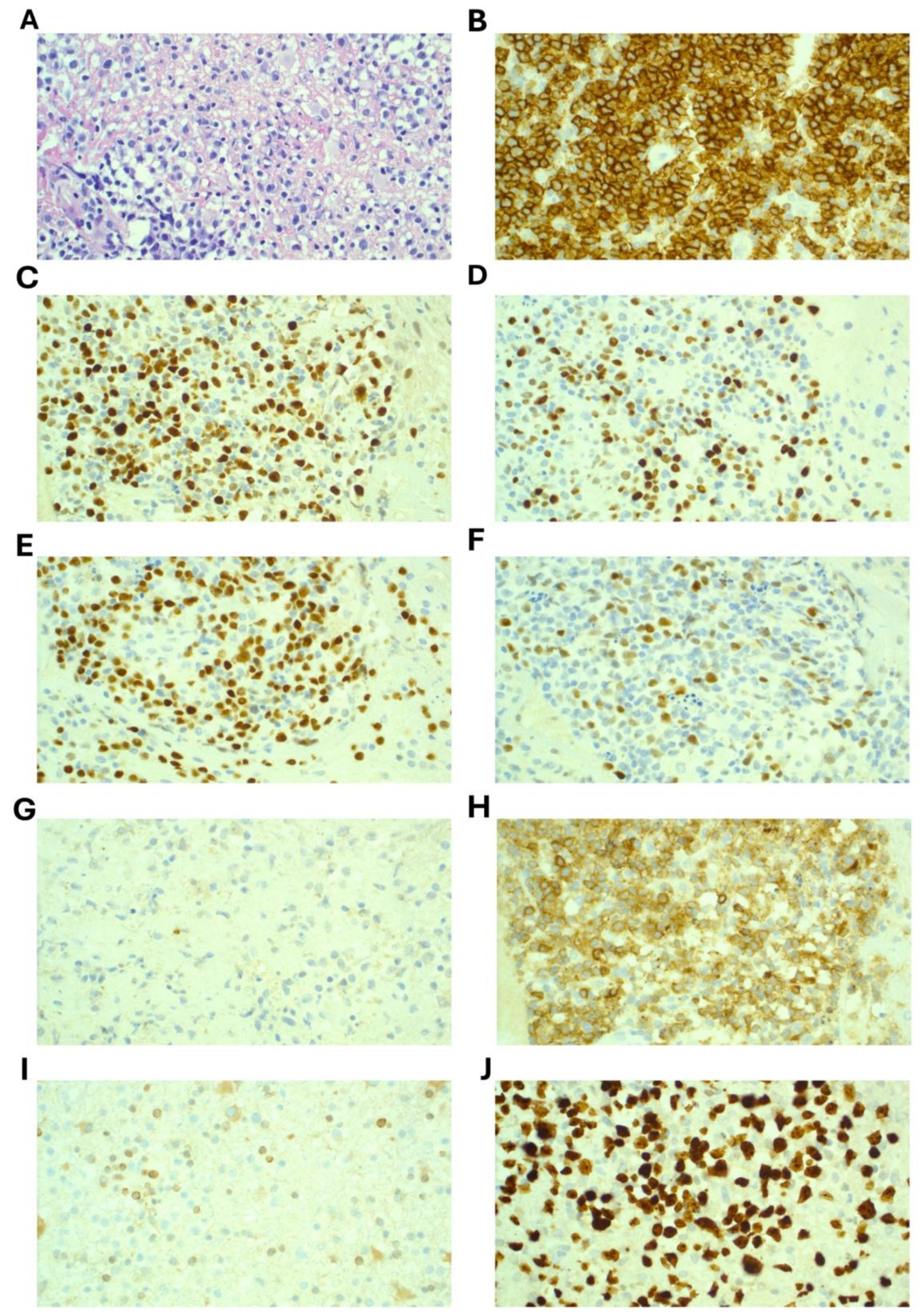 Preprints 174129 g002