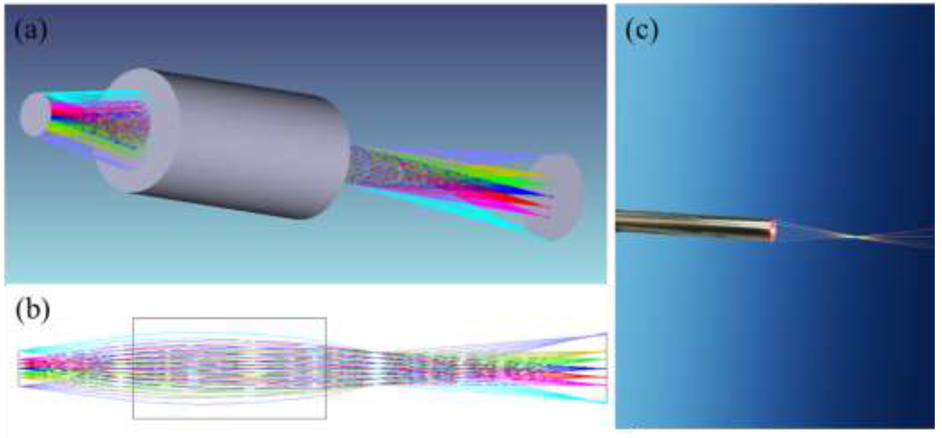 Preprints 151132 g002