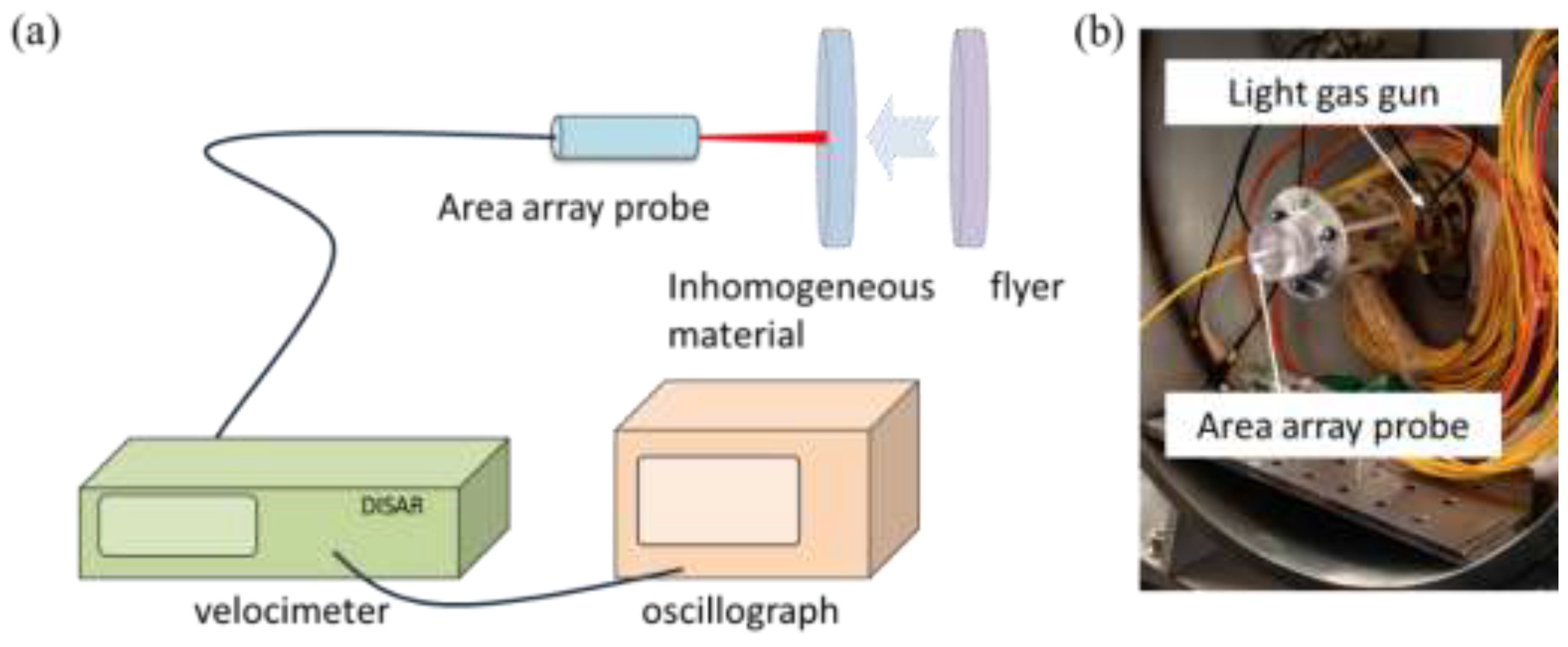 Preprints 151132 g005