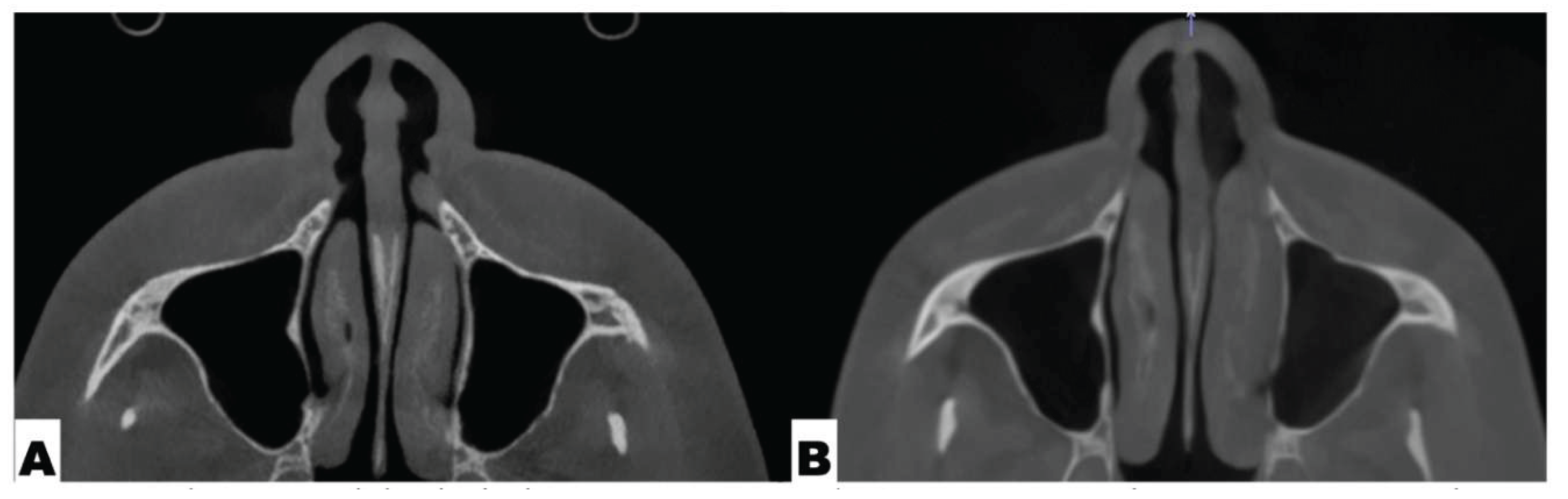 Preprints 175625 g001