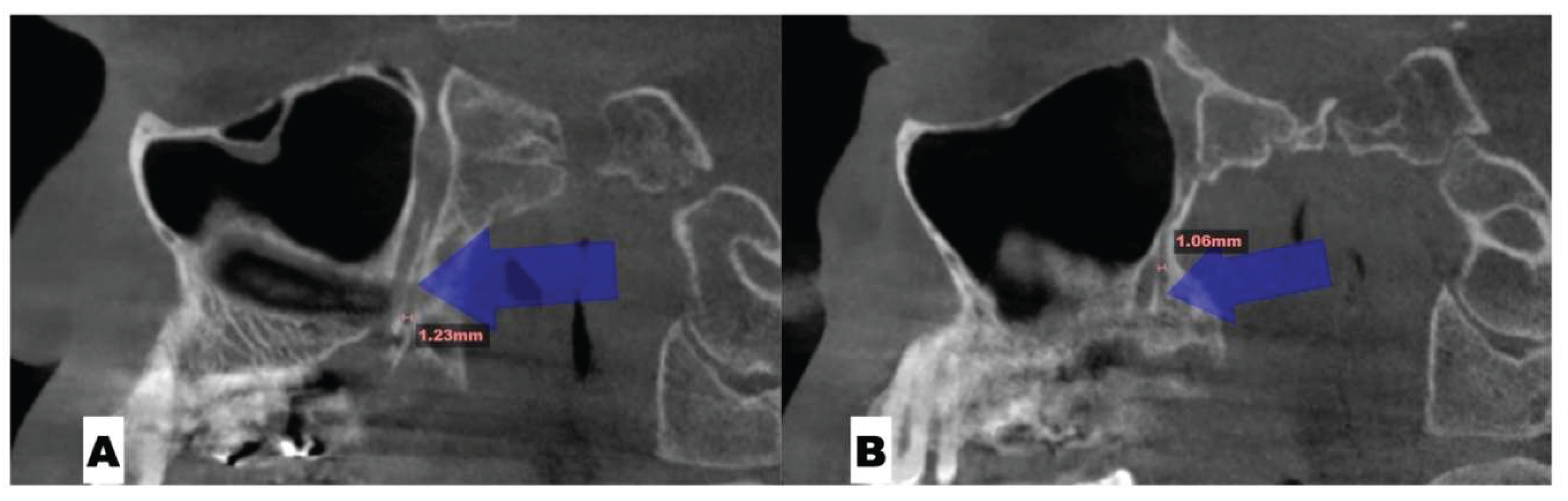 Preprints 175625 g005