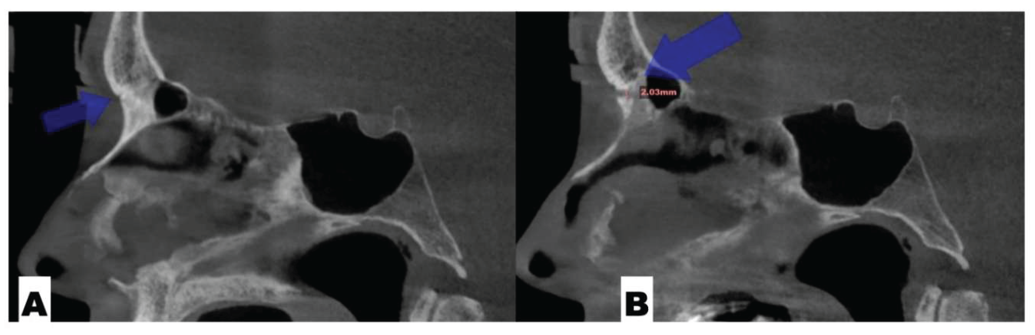 Preprints 175625 g006