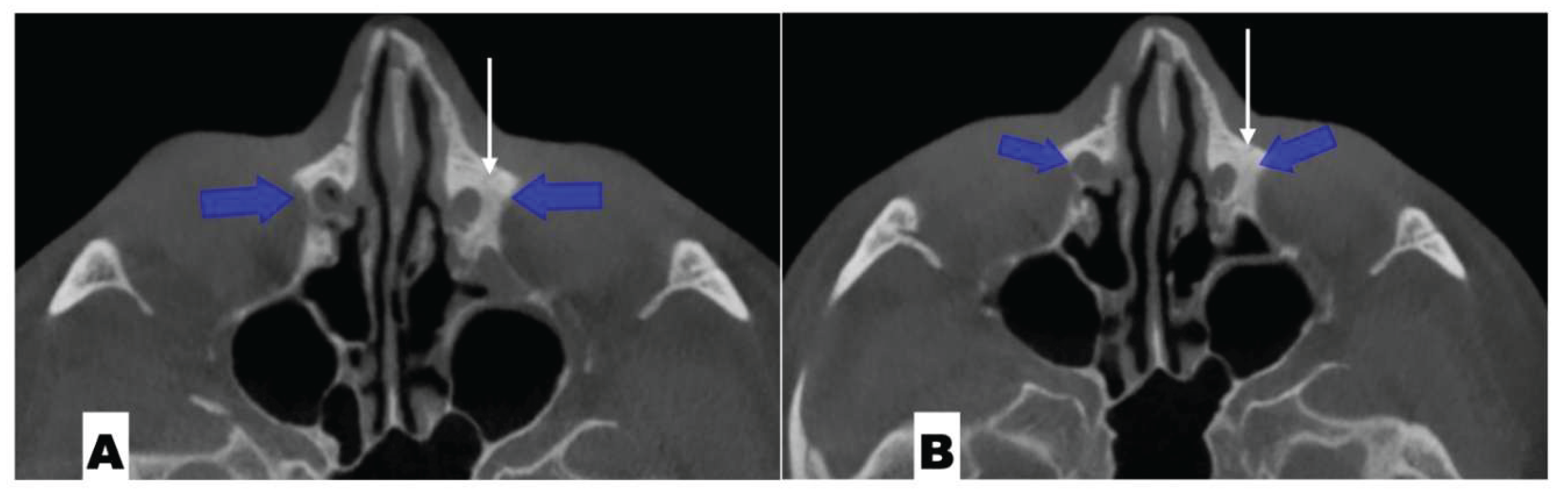 Preprints 175625 g009