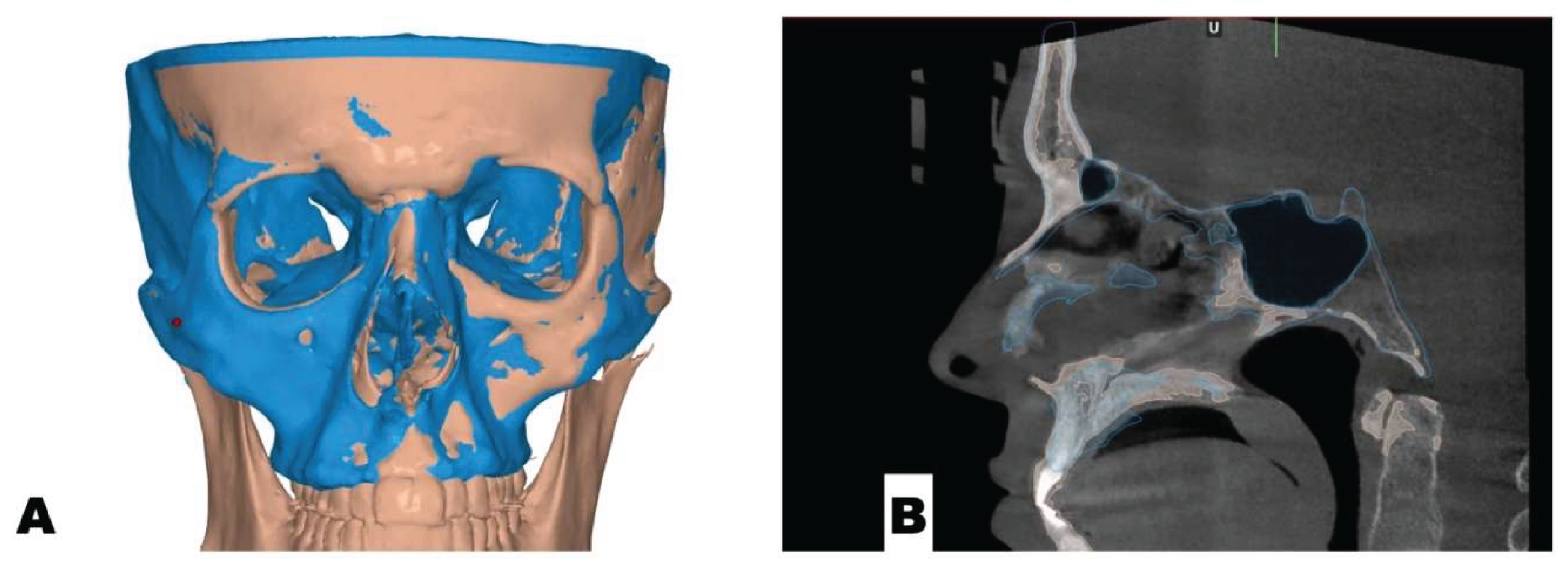 Preprints 175625 g010
