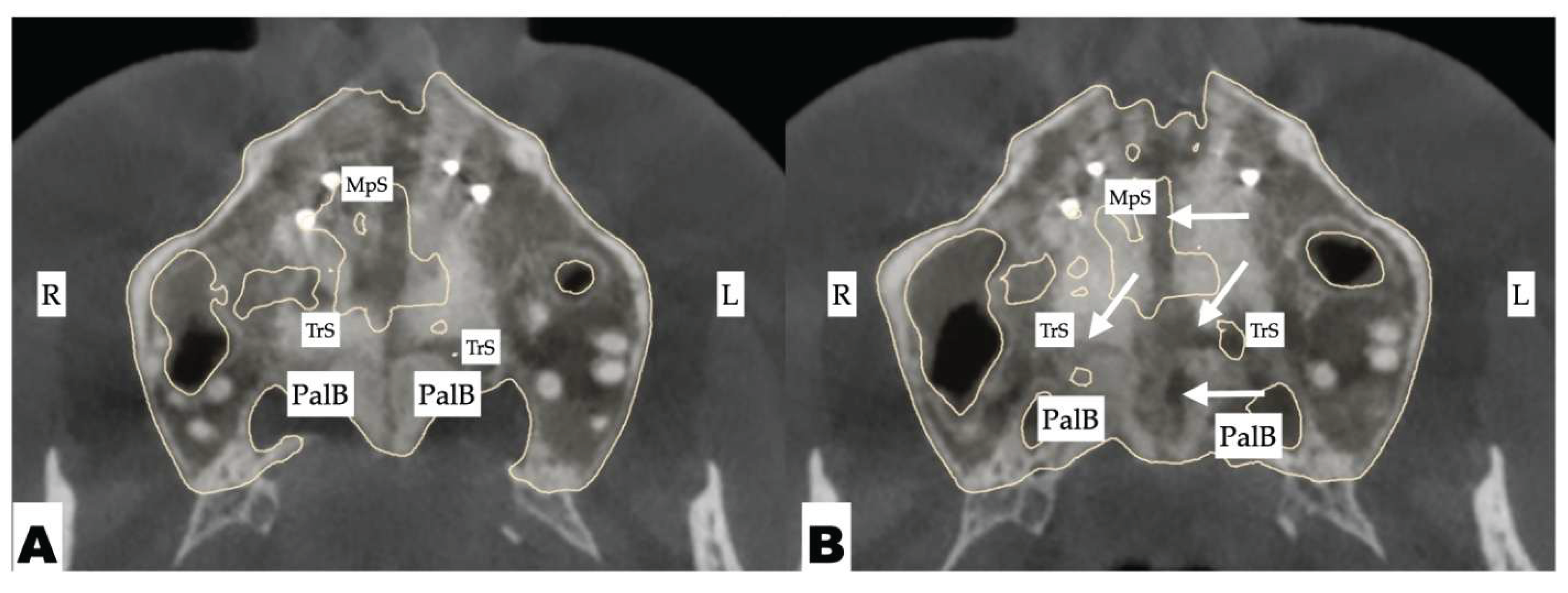 Preprints 175625 g016