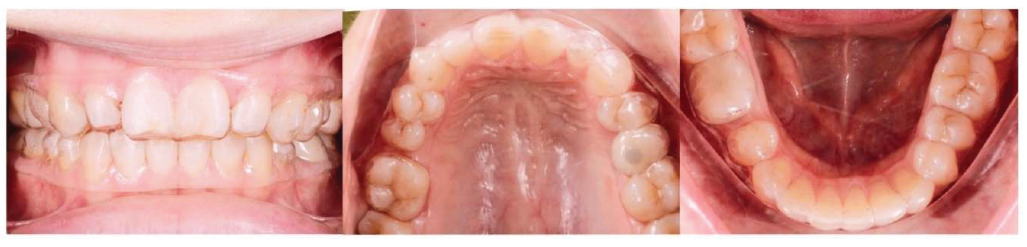 Preprints 175625 g019