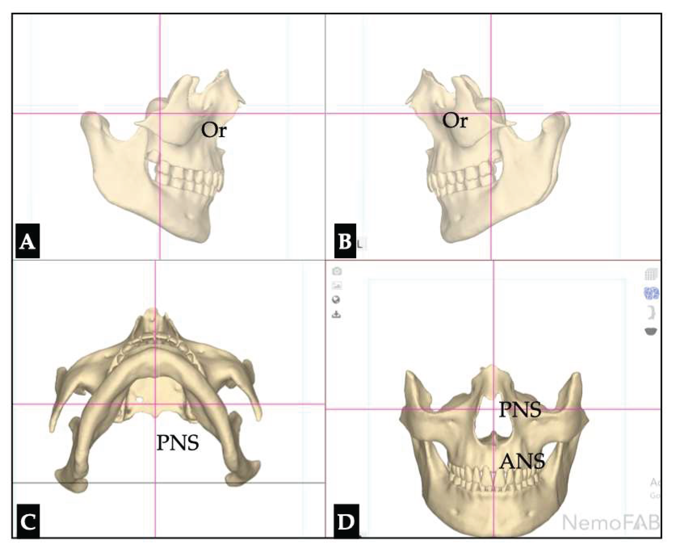 Preprints 175625 g020