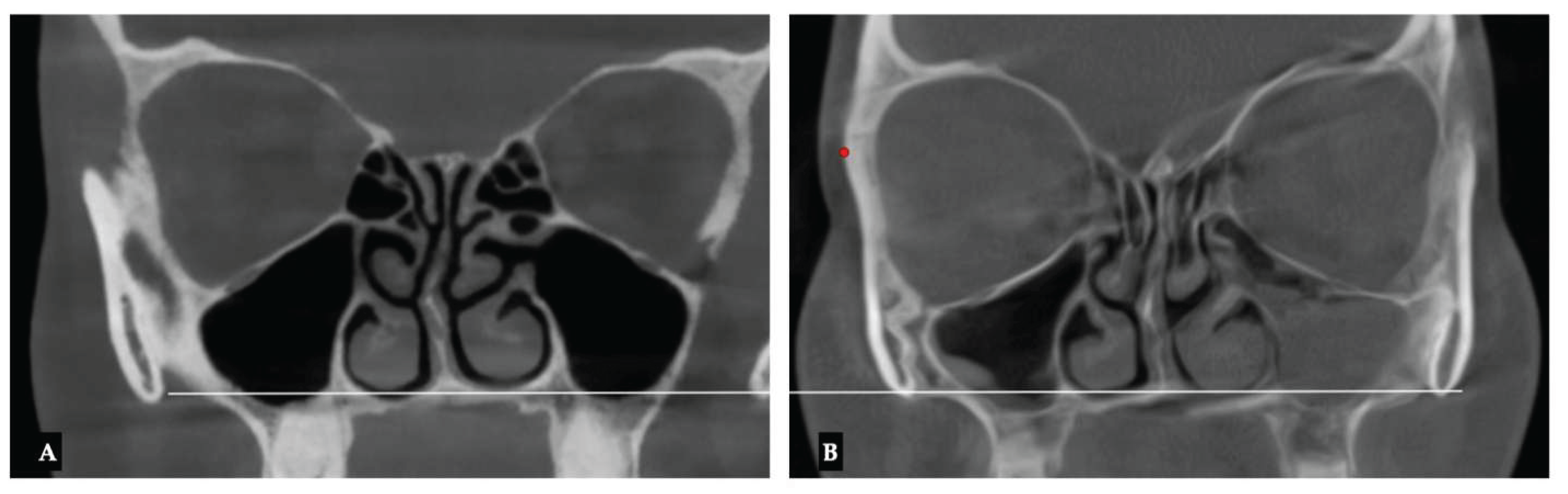 Preprints 175625 g024