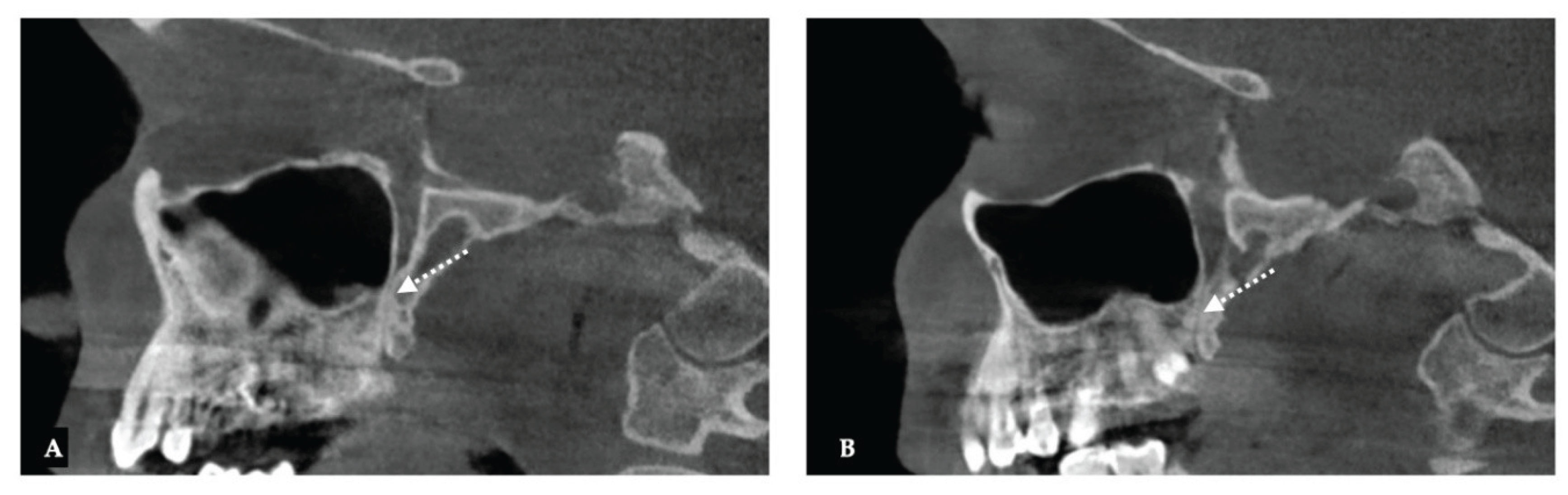 Preprints 175625 g025
