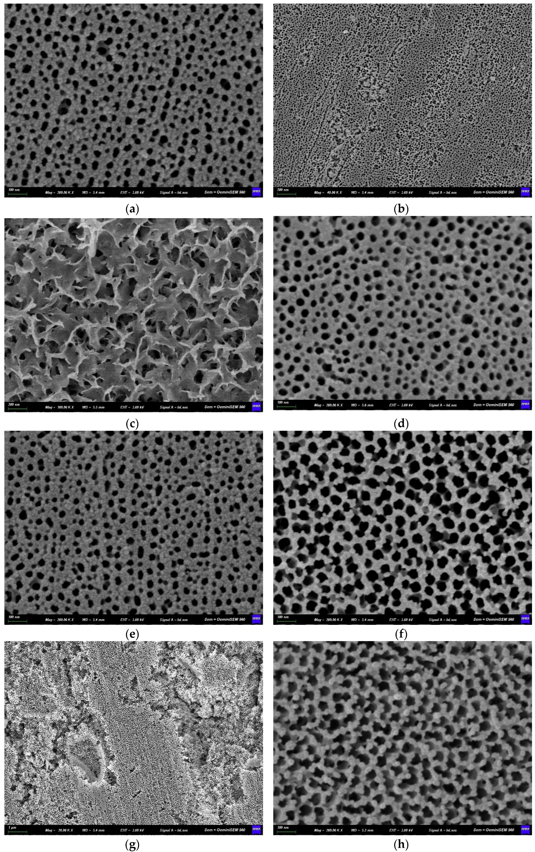 Preprints 216841 g001a