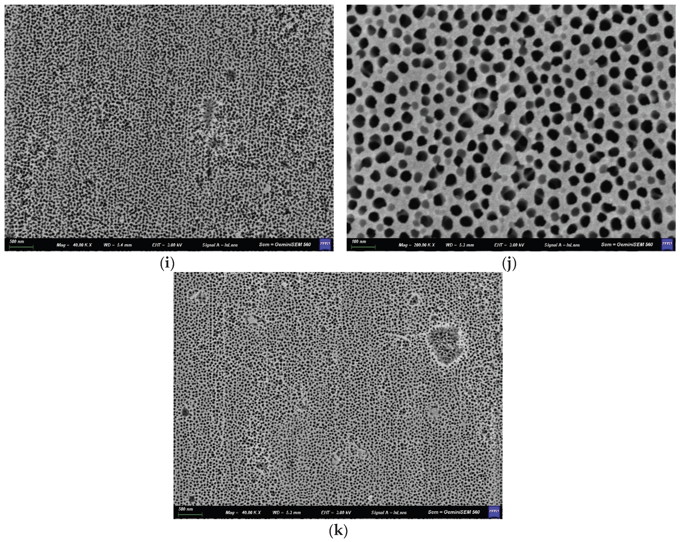 Preprints 216841 g001b