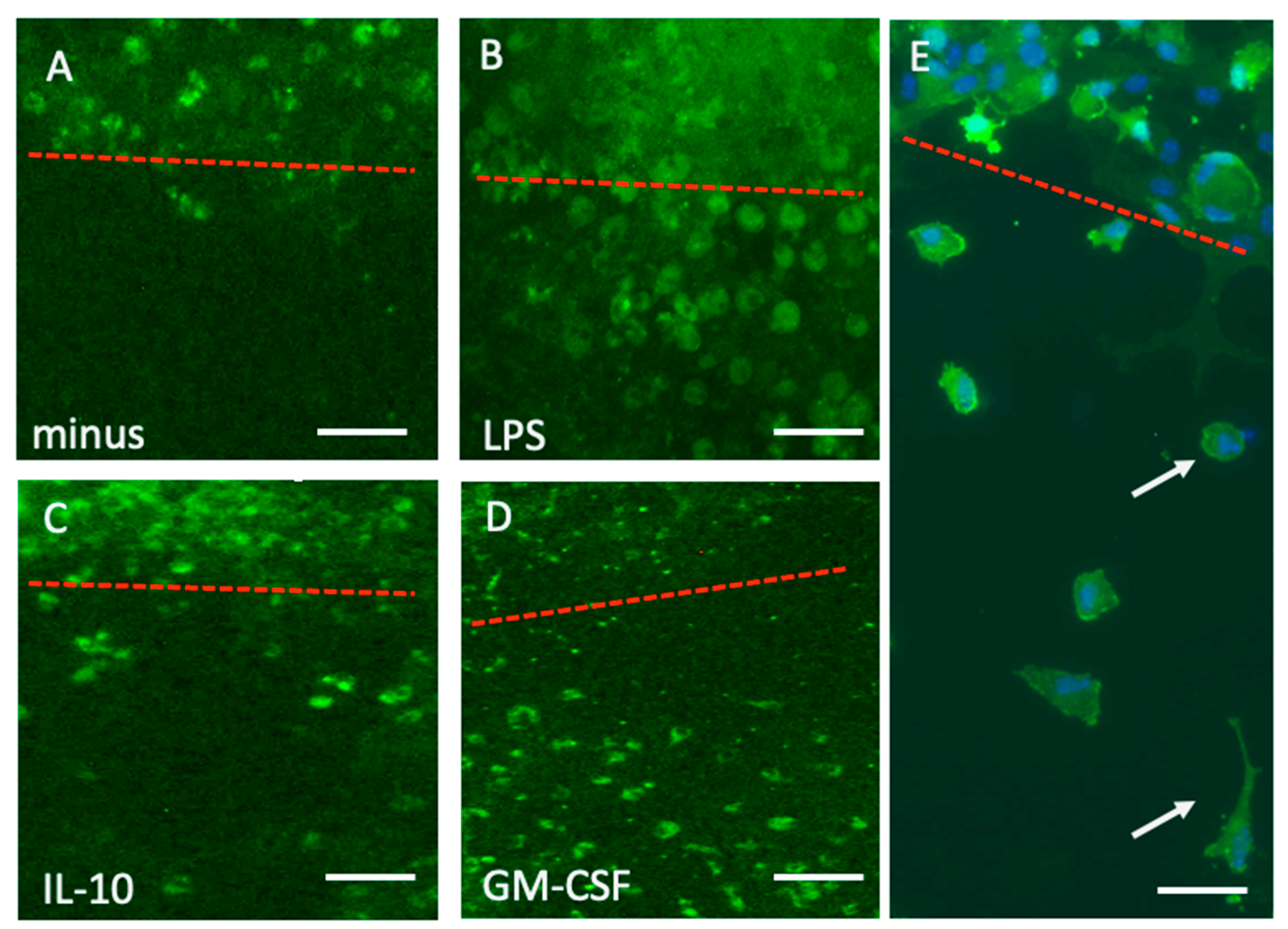 Preprints 200134 g003