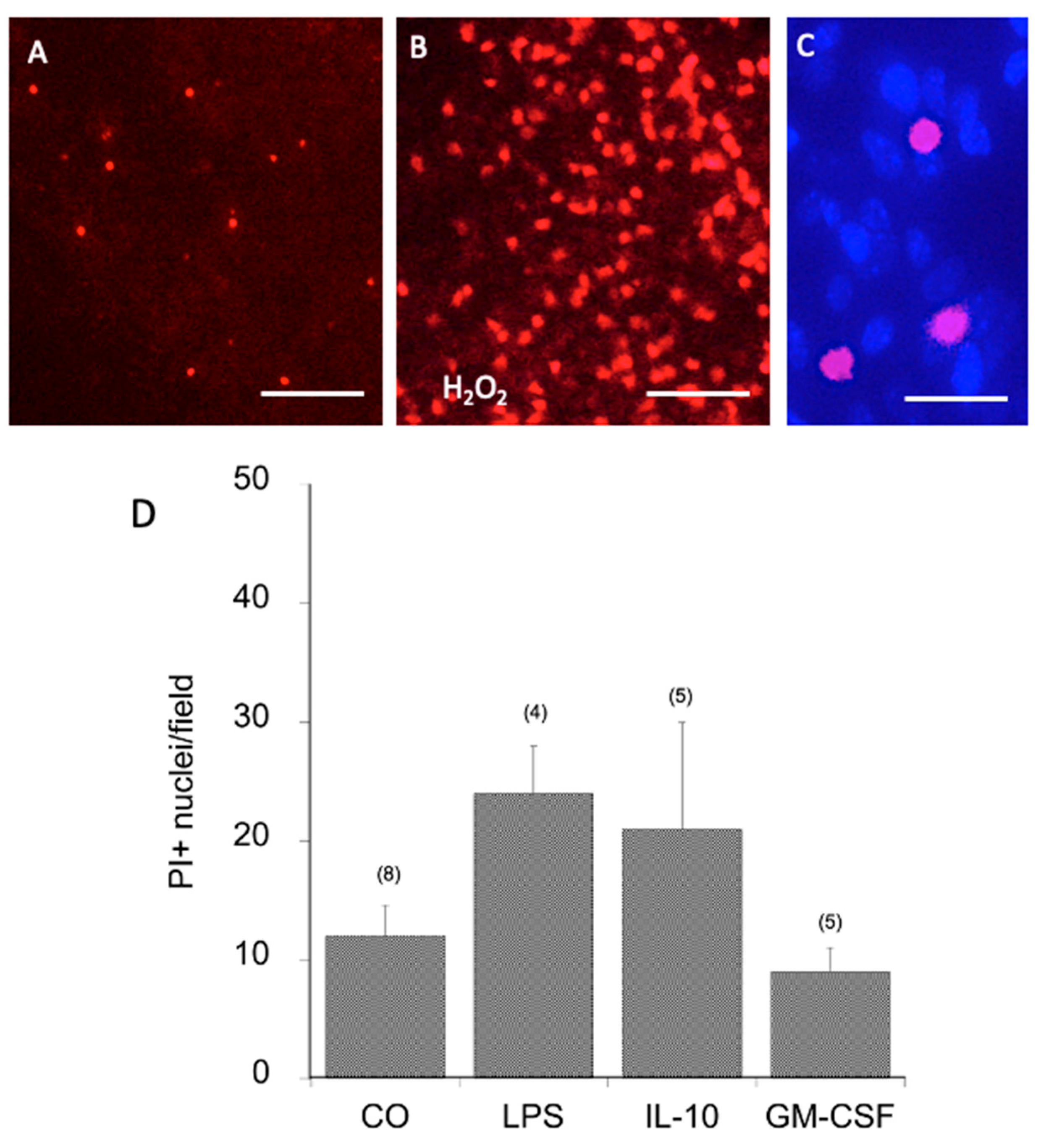 Preprints 200134 g005