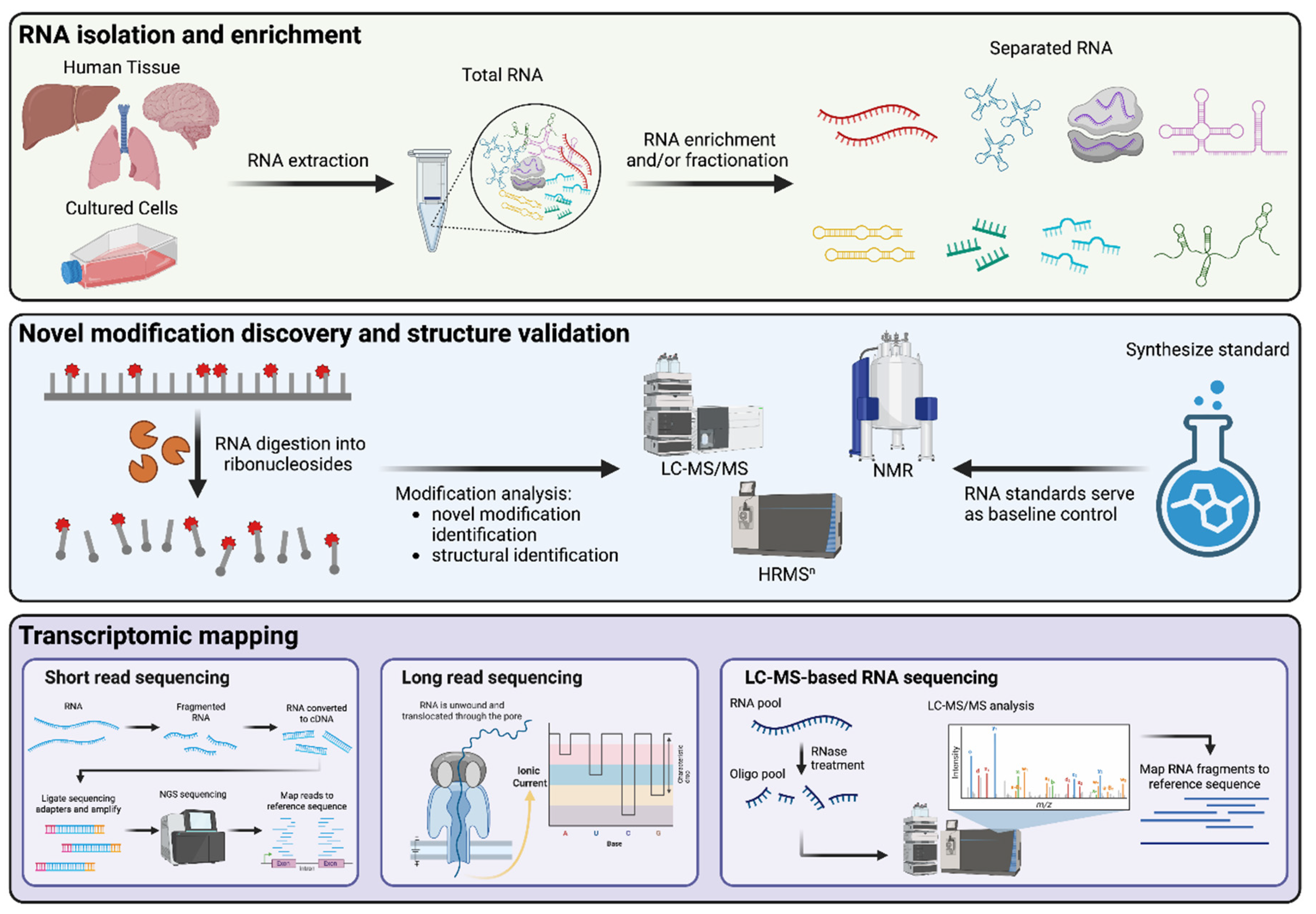 Preprints 225811 g001