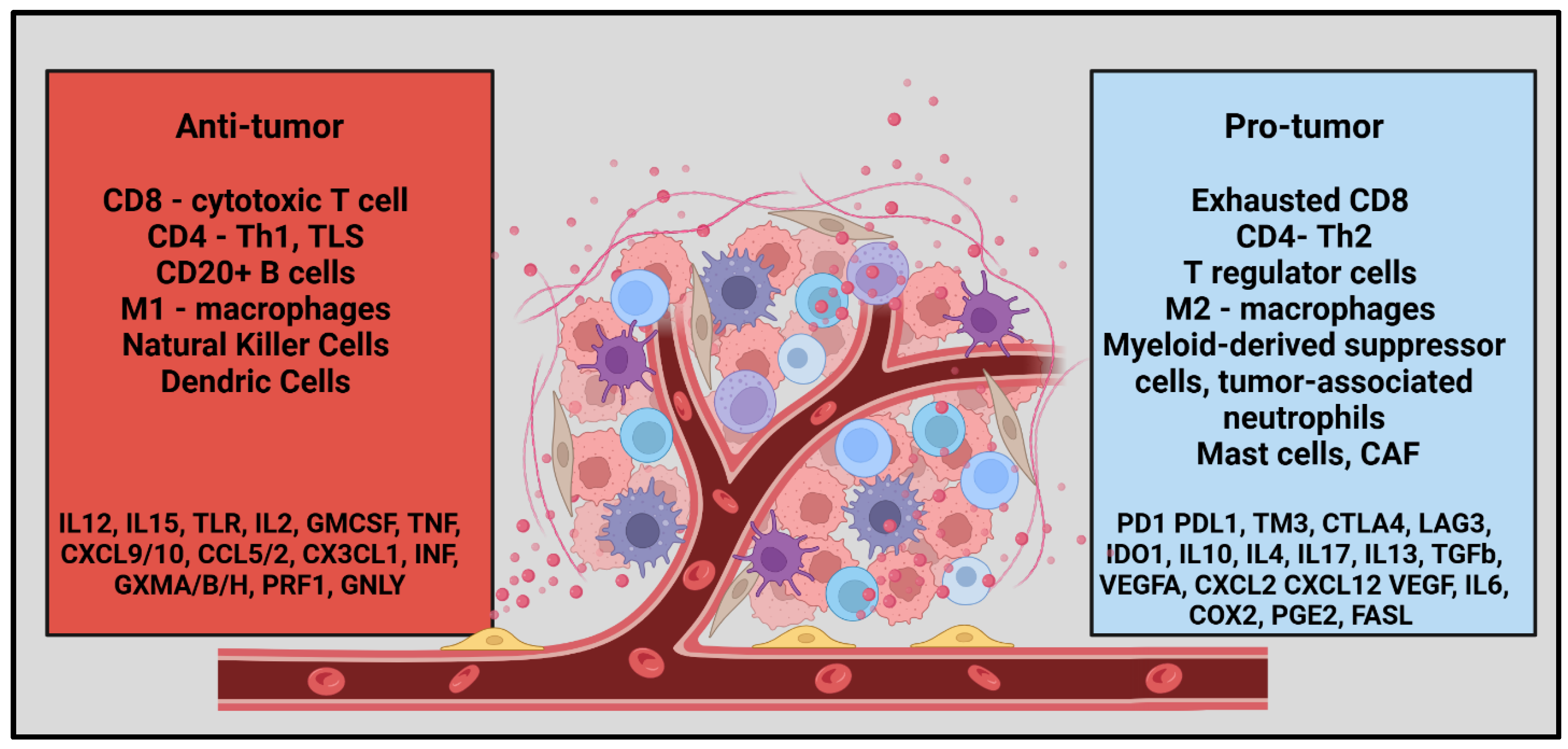 Preprints 143983 g001