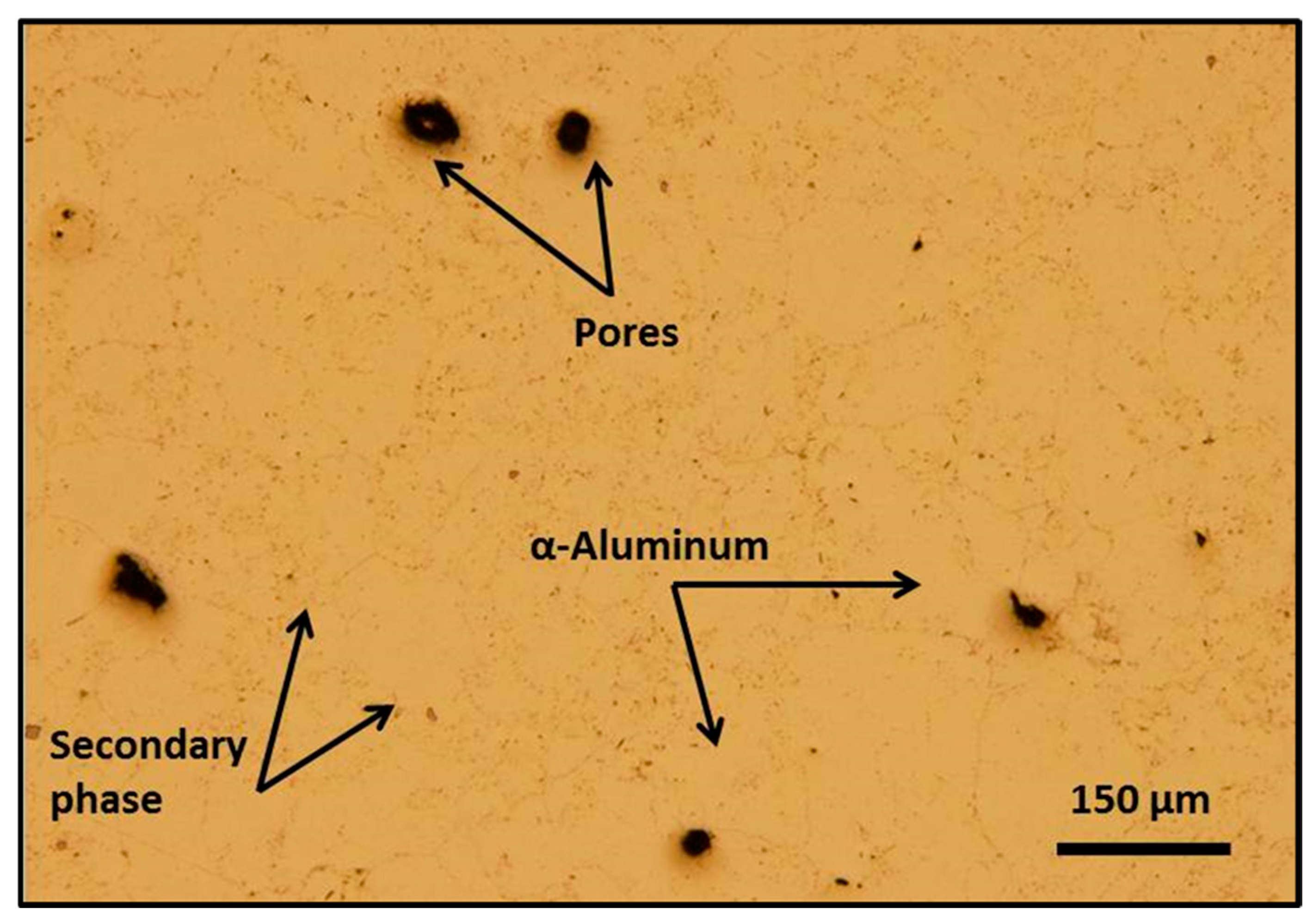 Preprints 191980 g006