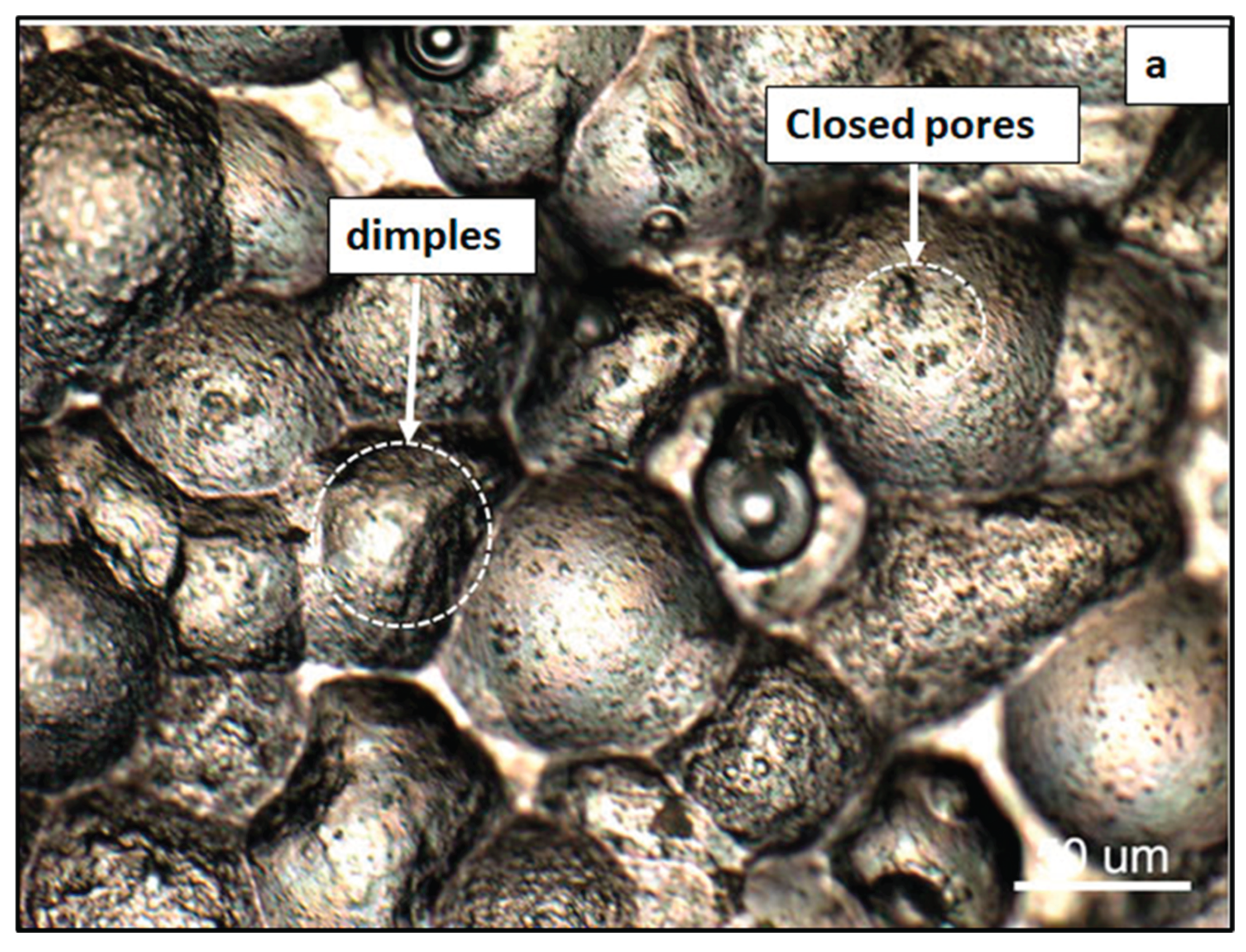 Preprints 191980 g007a