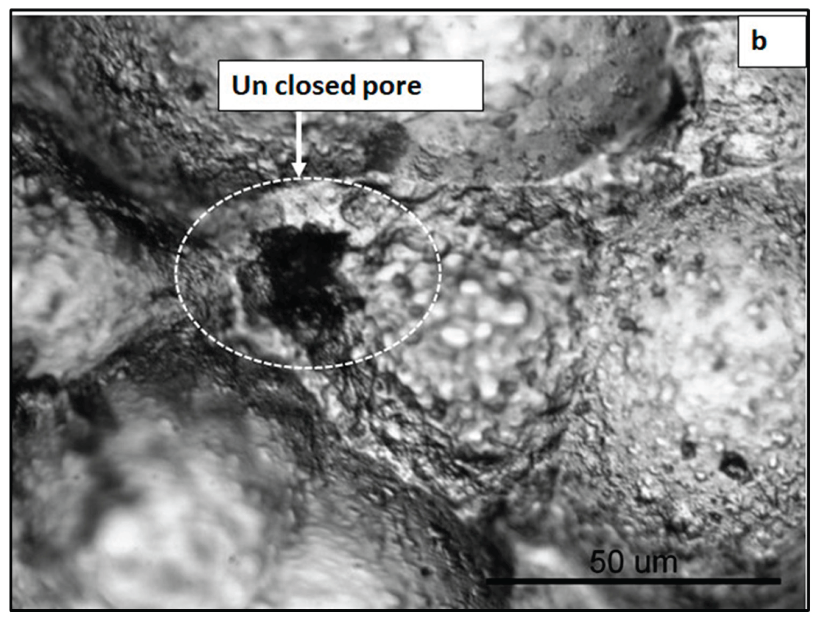 Preprints 191980 g007b