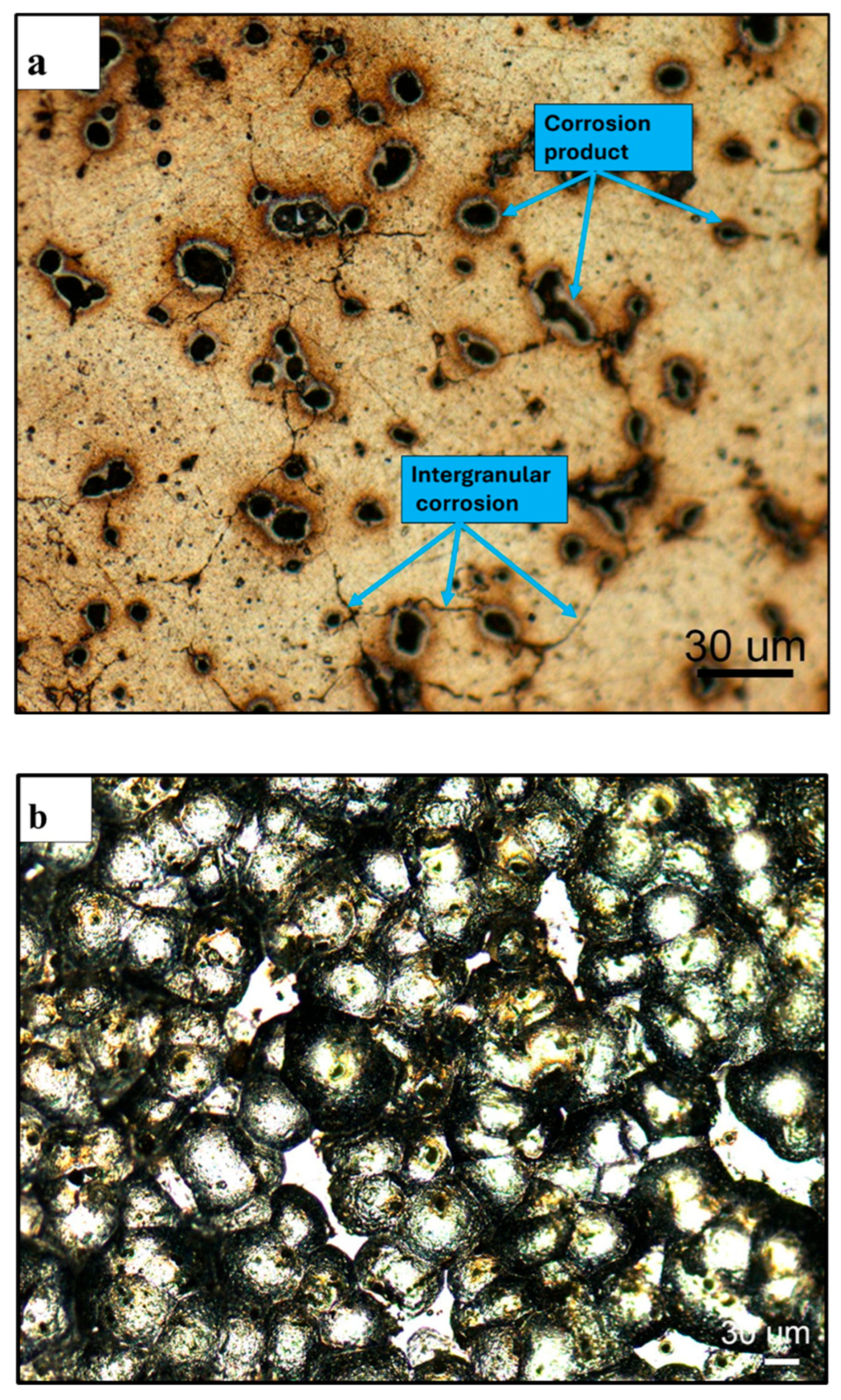 Preprints 191980 g016