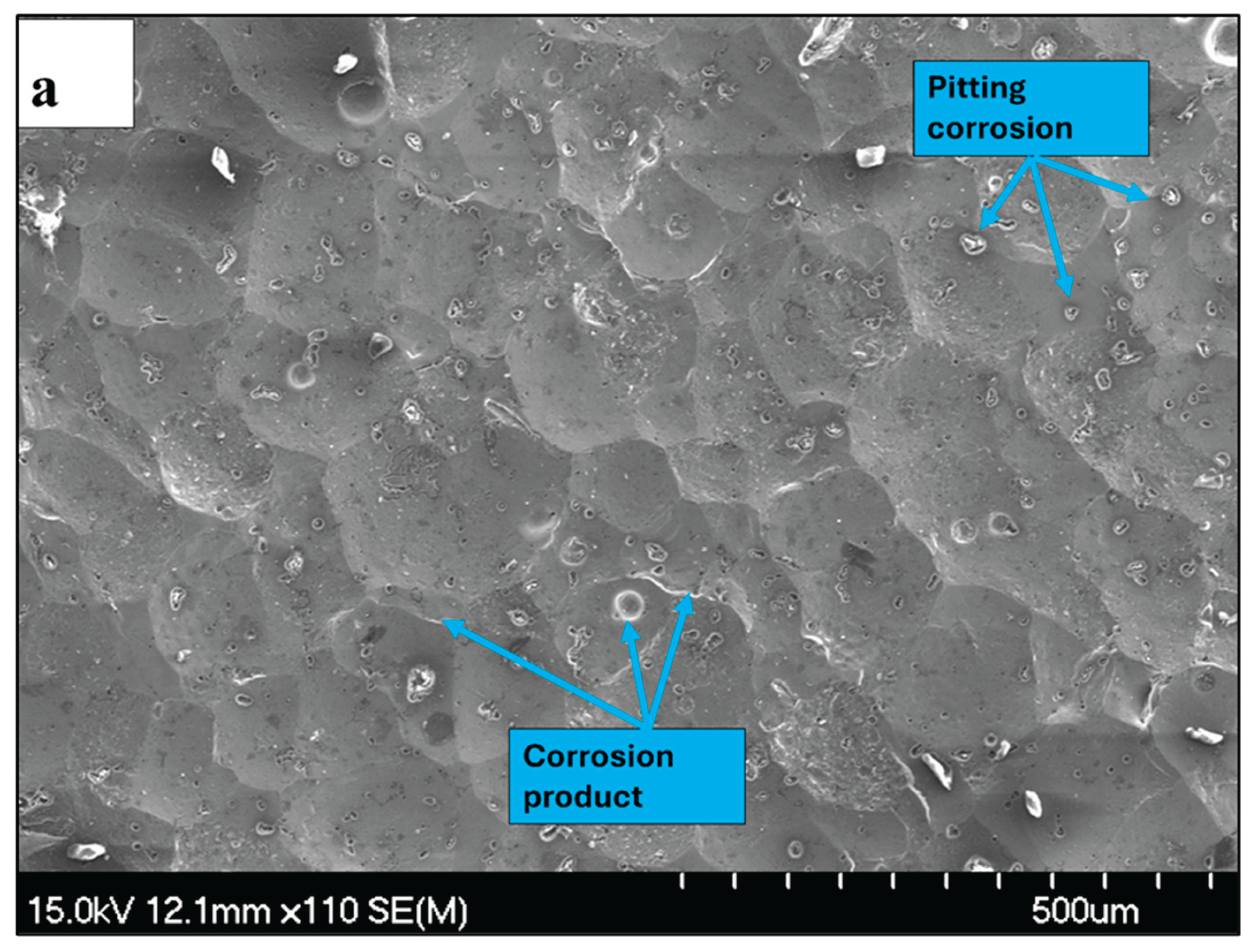 Preprints 191980 g017a