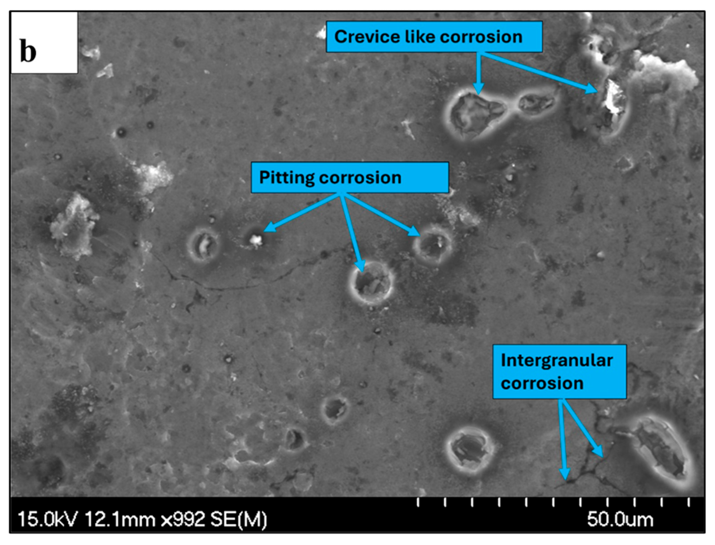 Preprints 191980 g017b
