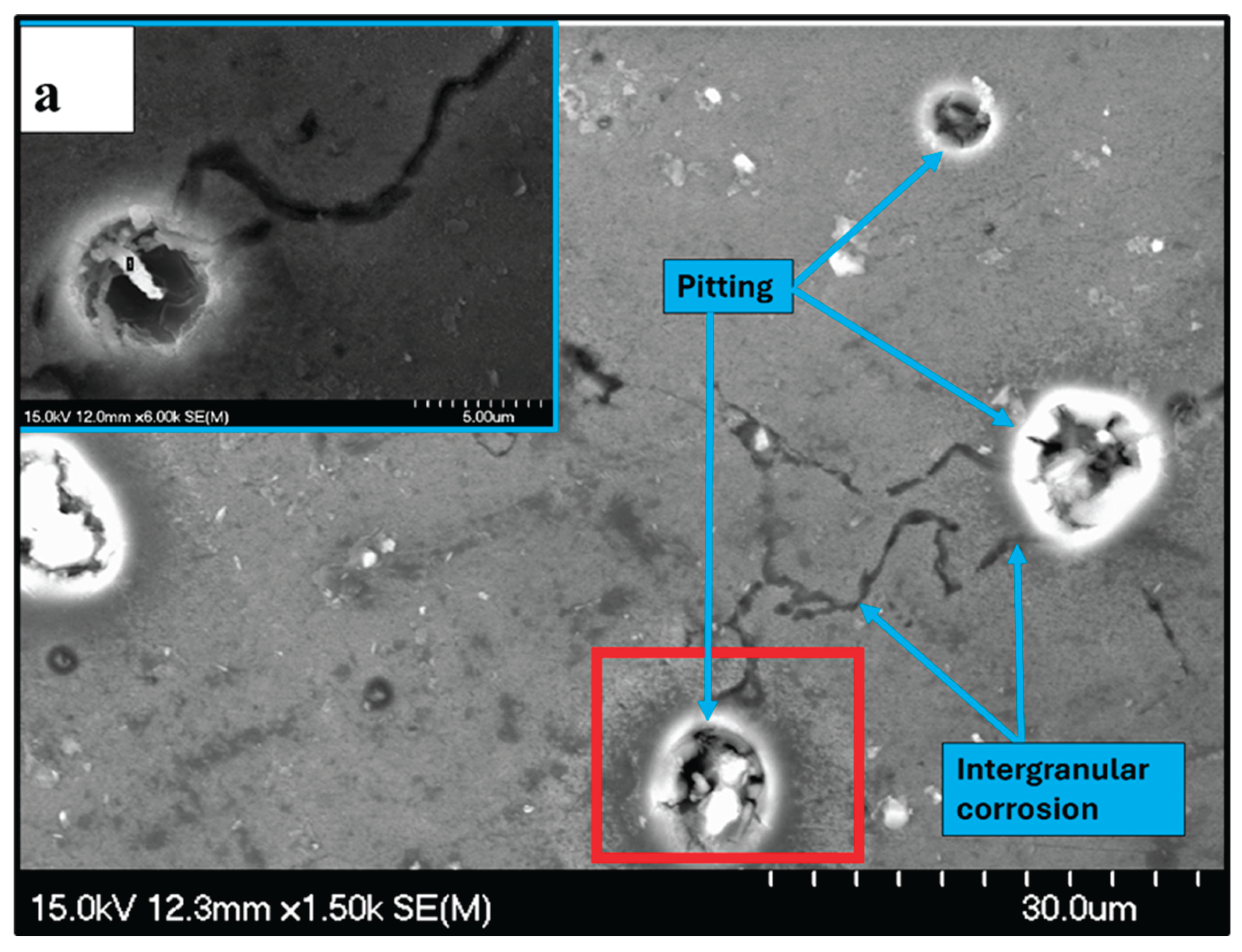 Preprints 191980 g018a