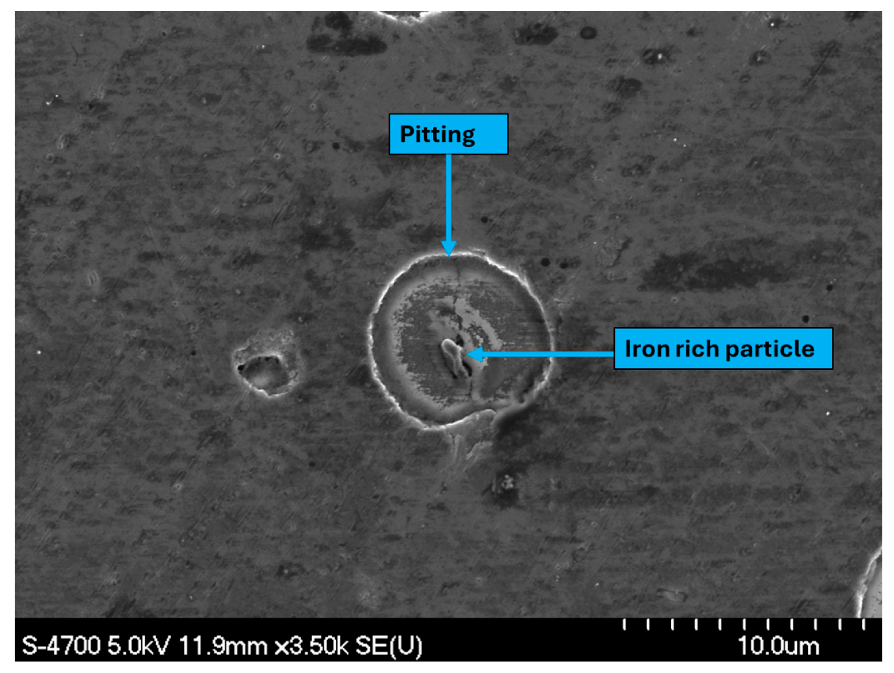 Preprints 191980 g019