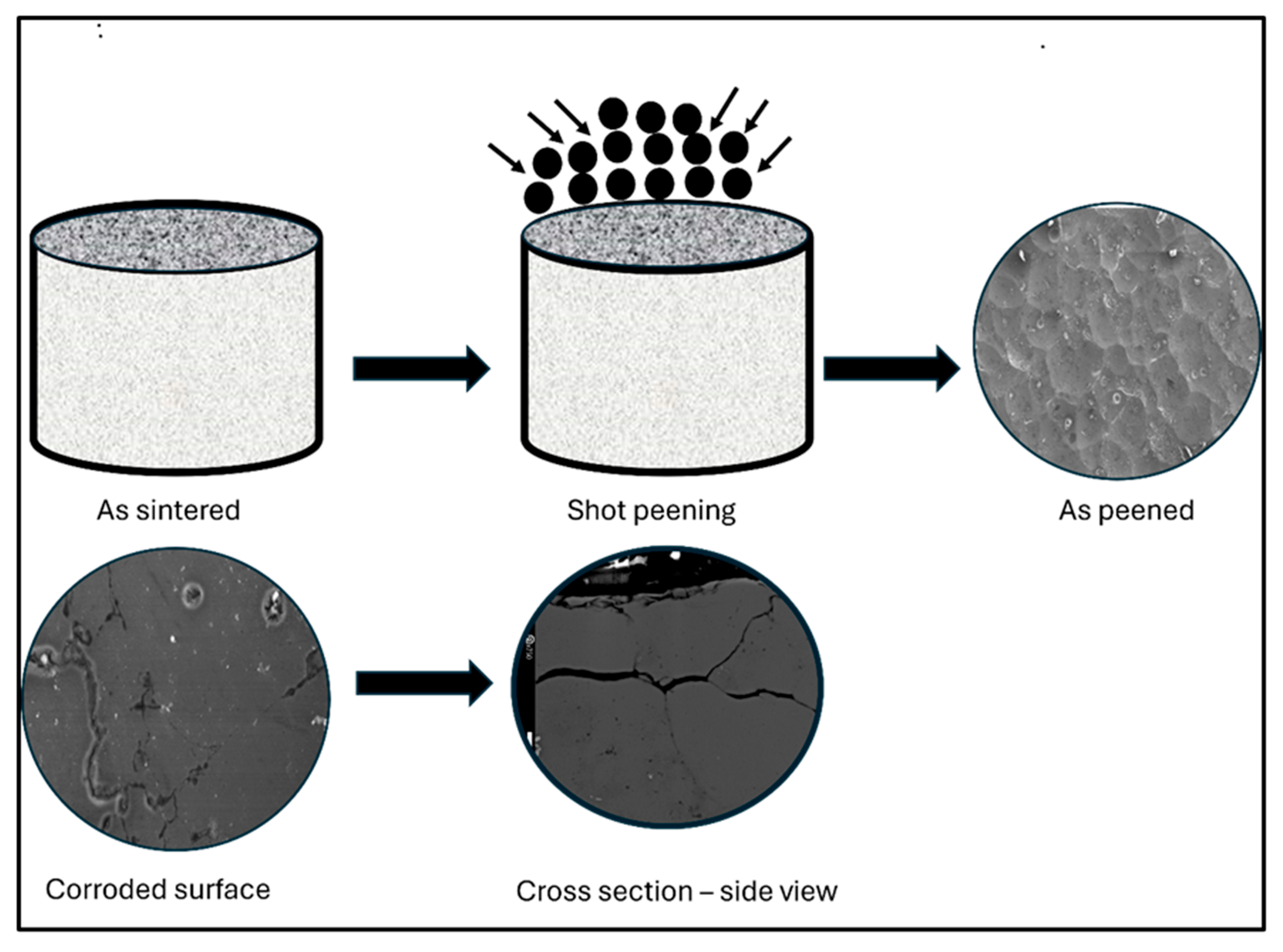 Preprints 191980 g021