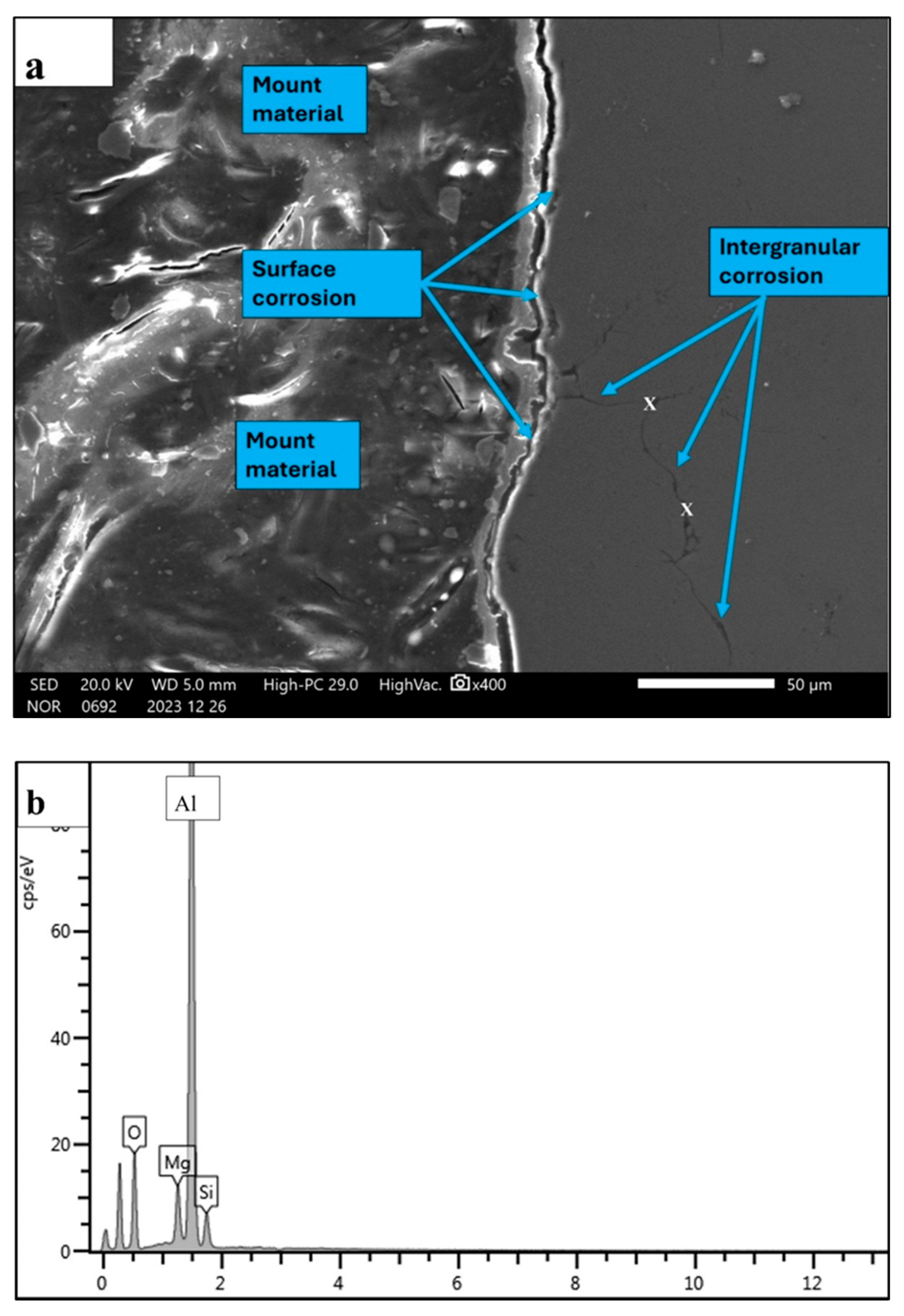 Preprints 191980 g022