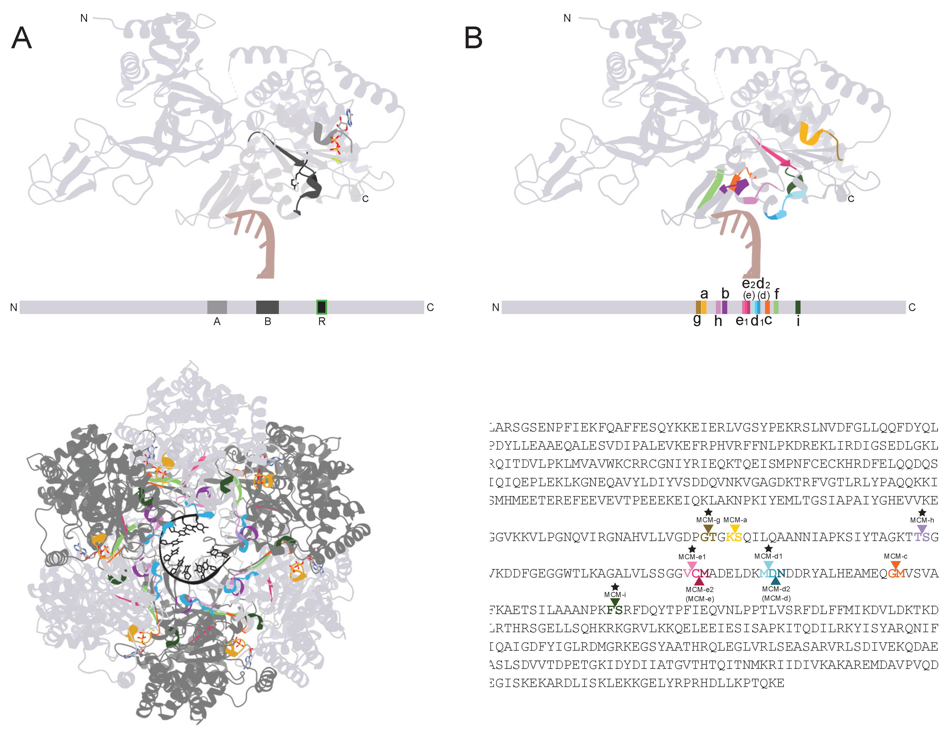 Preprints 161350 g001