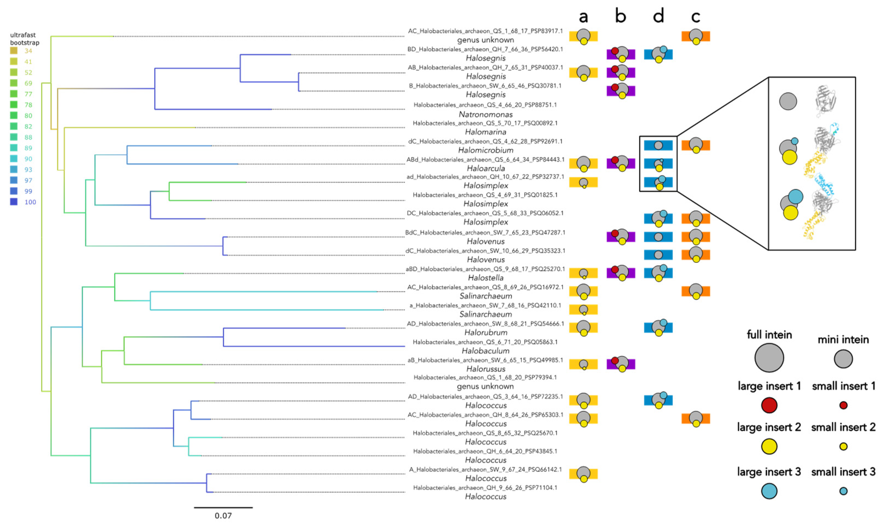 Preprints 161350 g005
