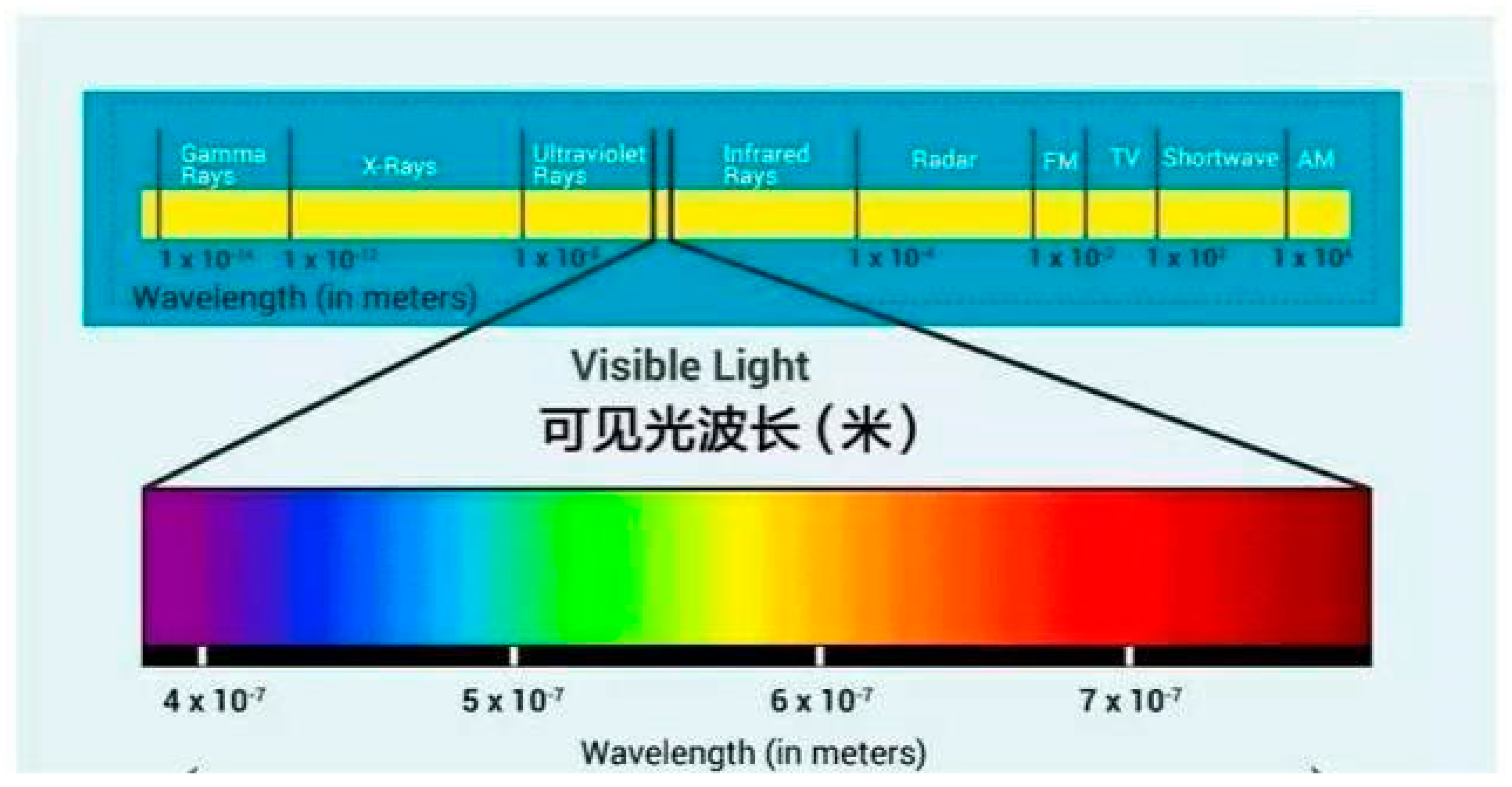 Preprints 161857 g002