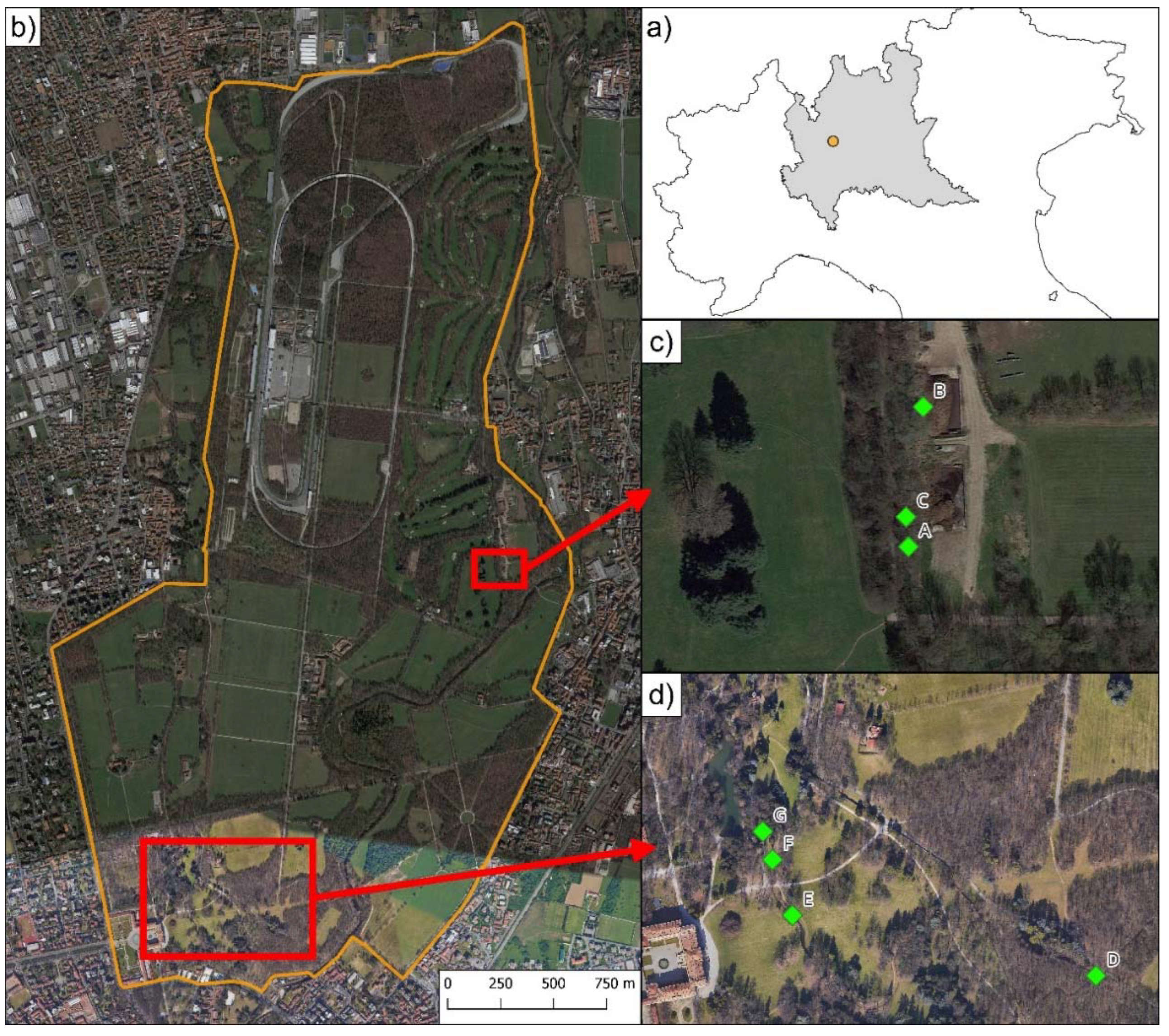 Preprints 81374 g001