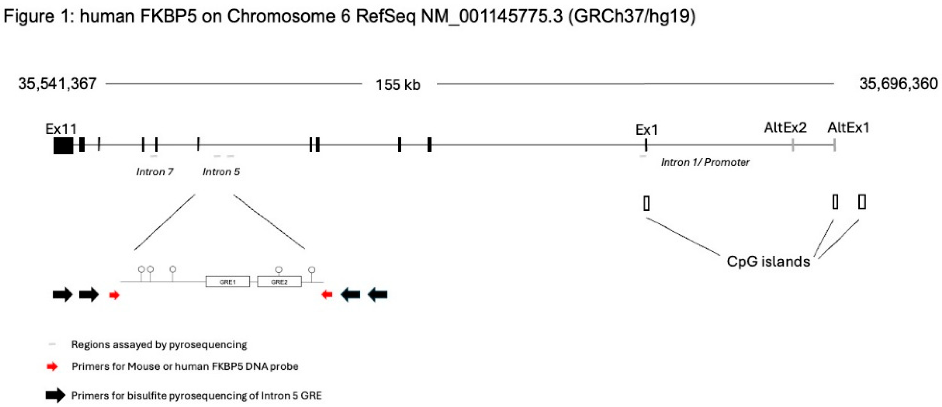 Preprints 154330 g001