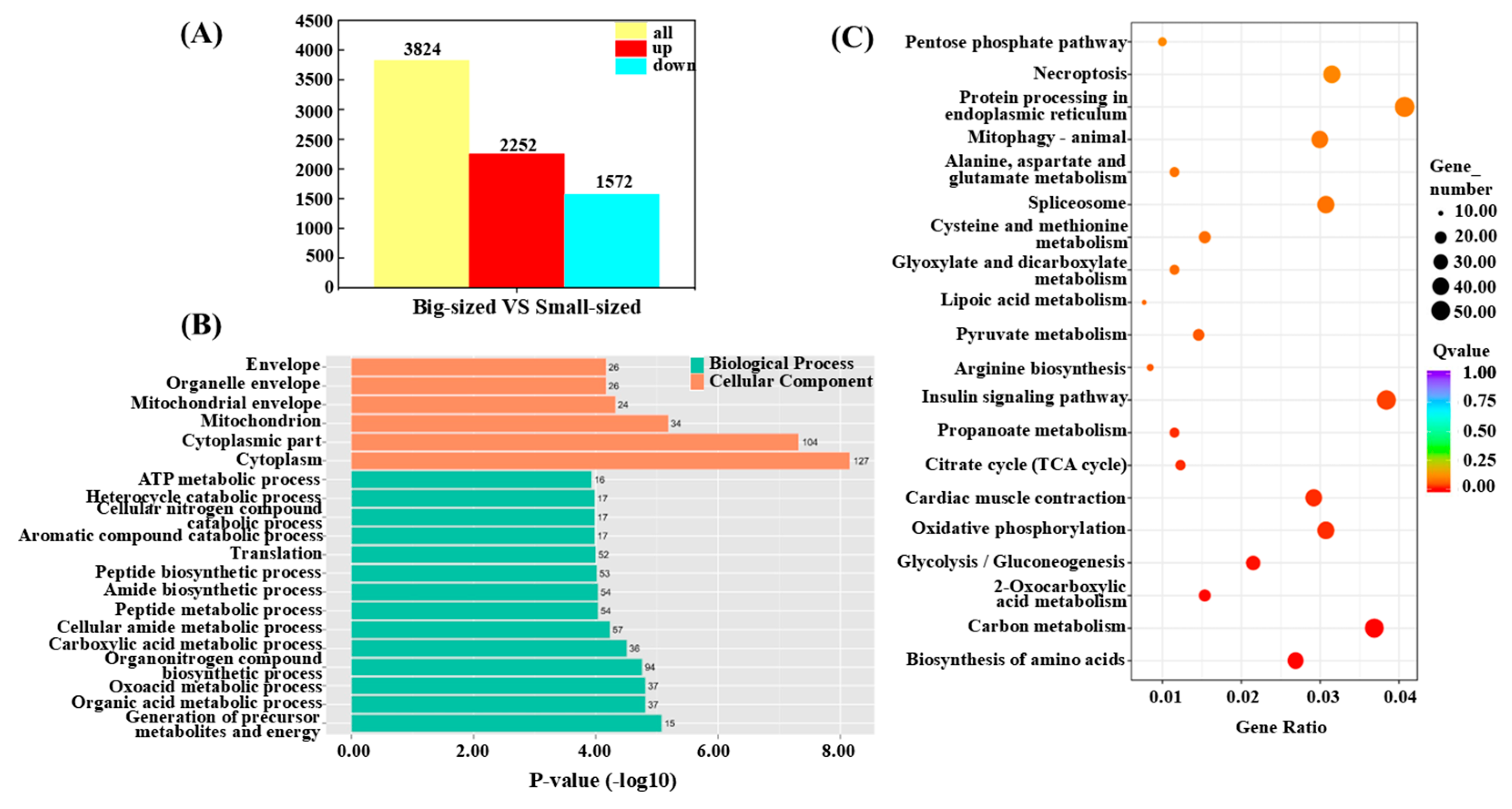 Preprints 158361 g004