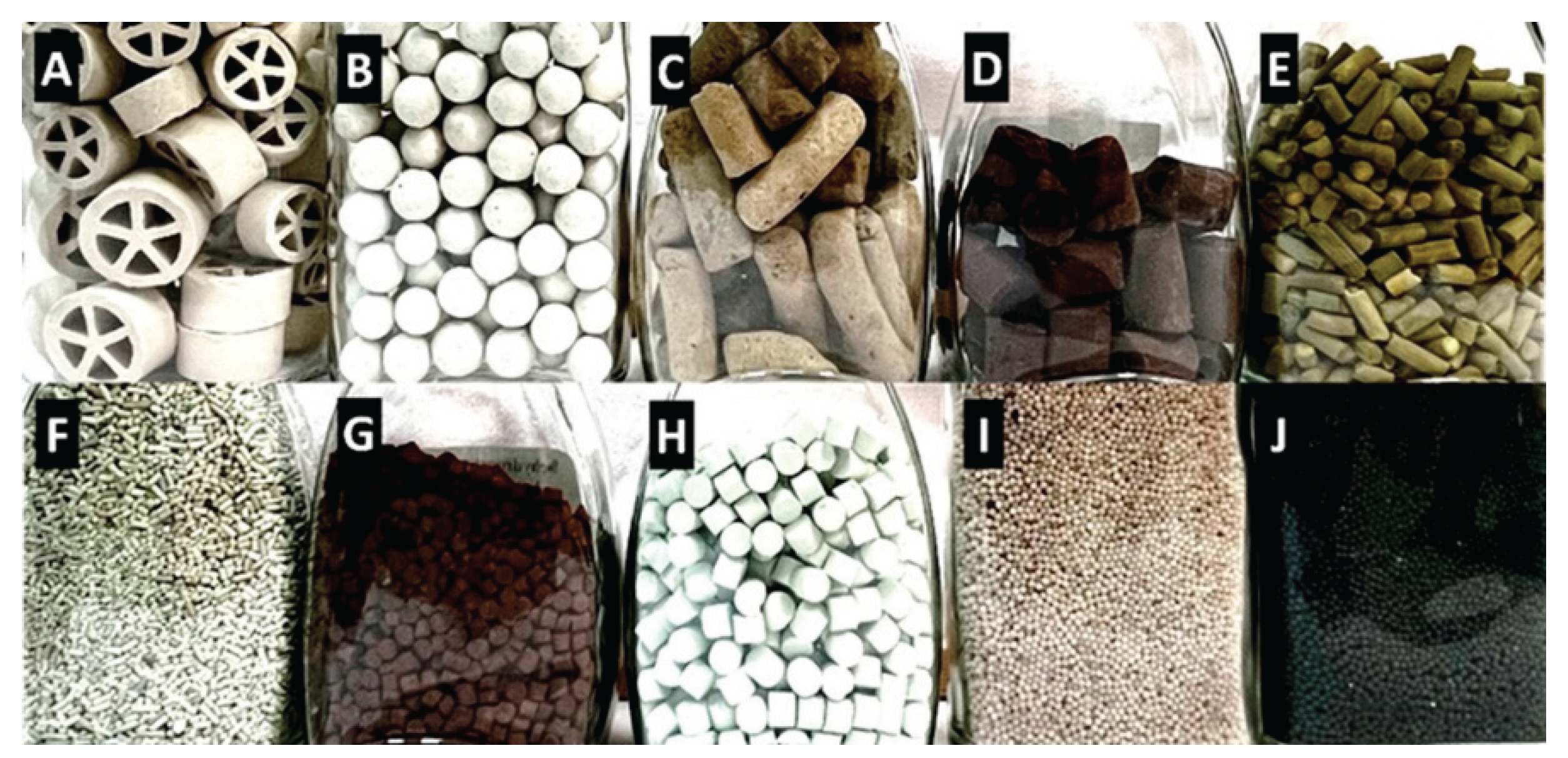 Preprints 168556 g003