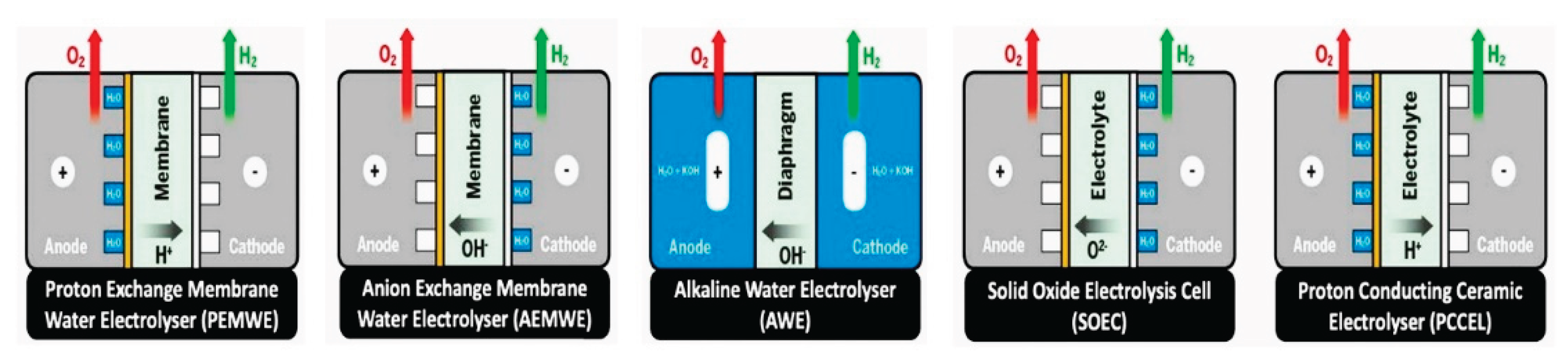 Preprints 168556 g014