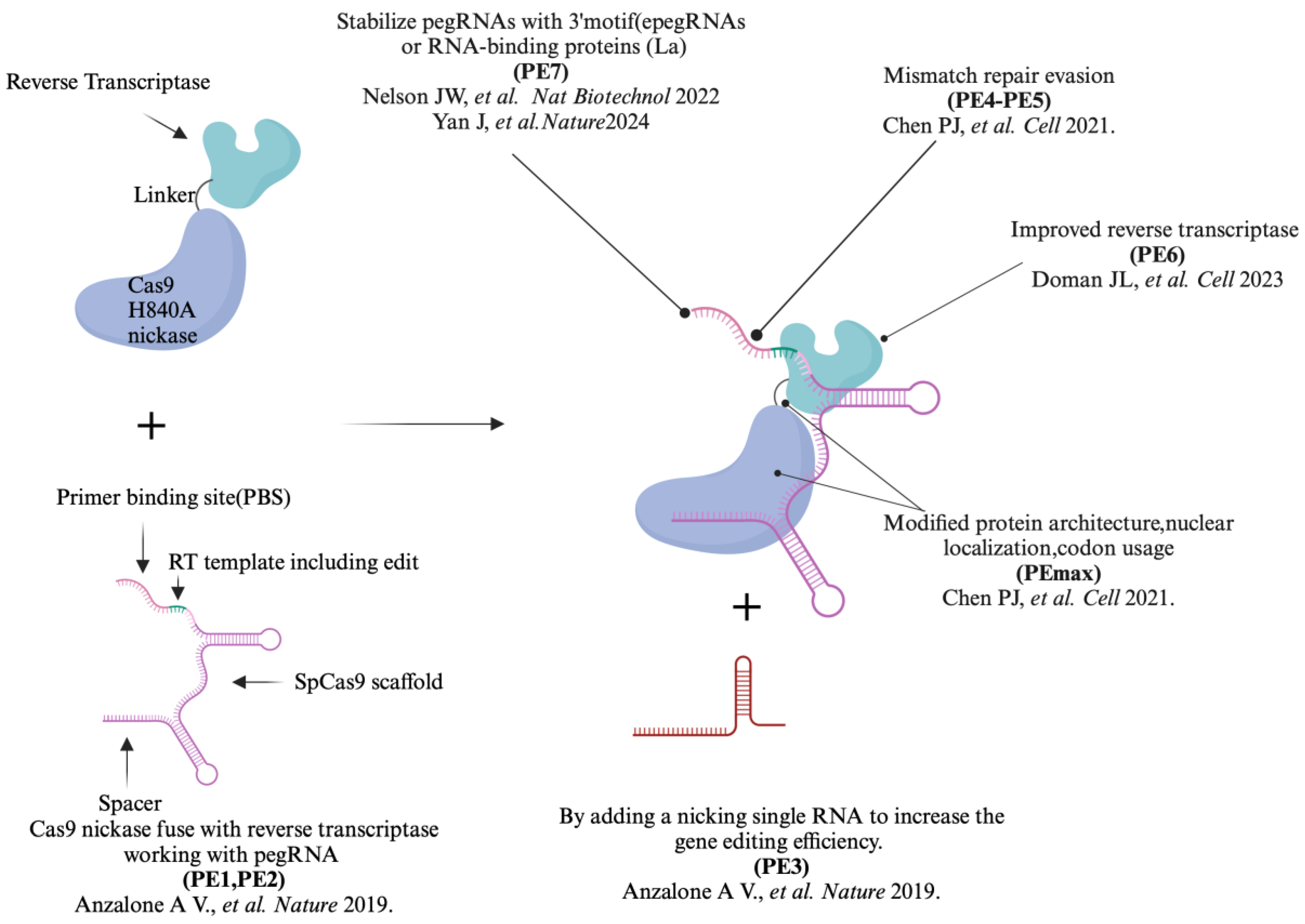 Preprints 140351 g001