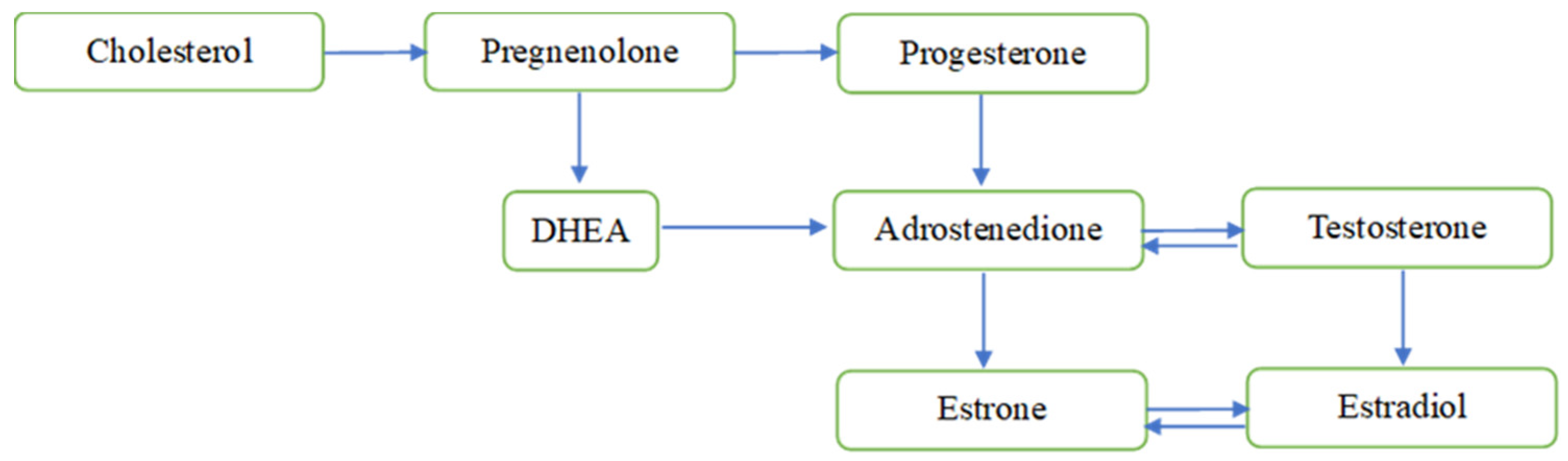 Preprints 145723 g001
