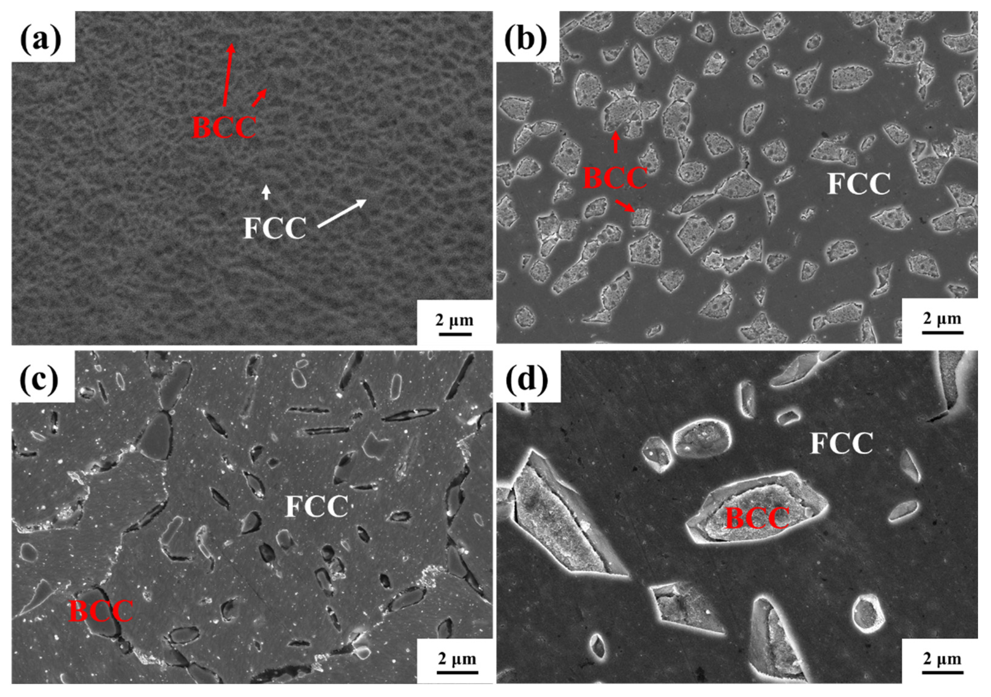 Preprints 98326 g002