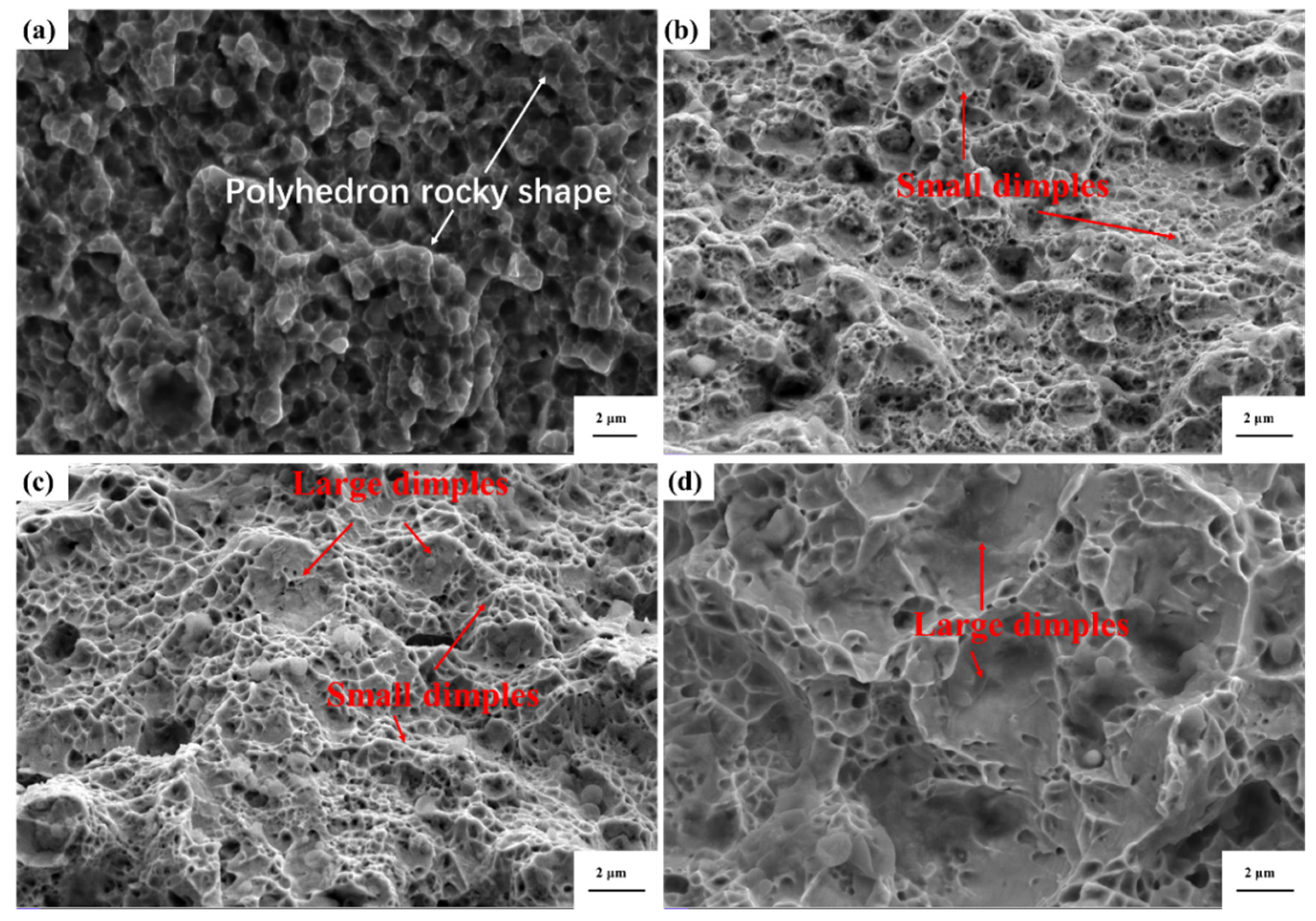 Preprints 98326 g006