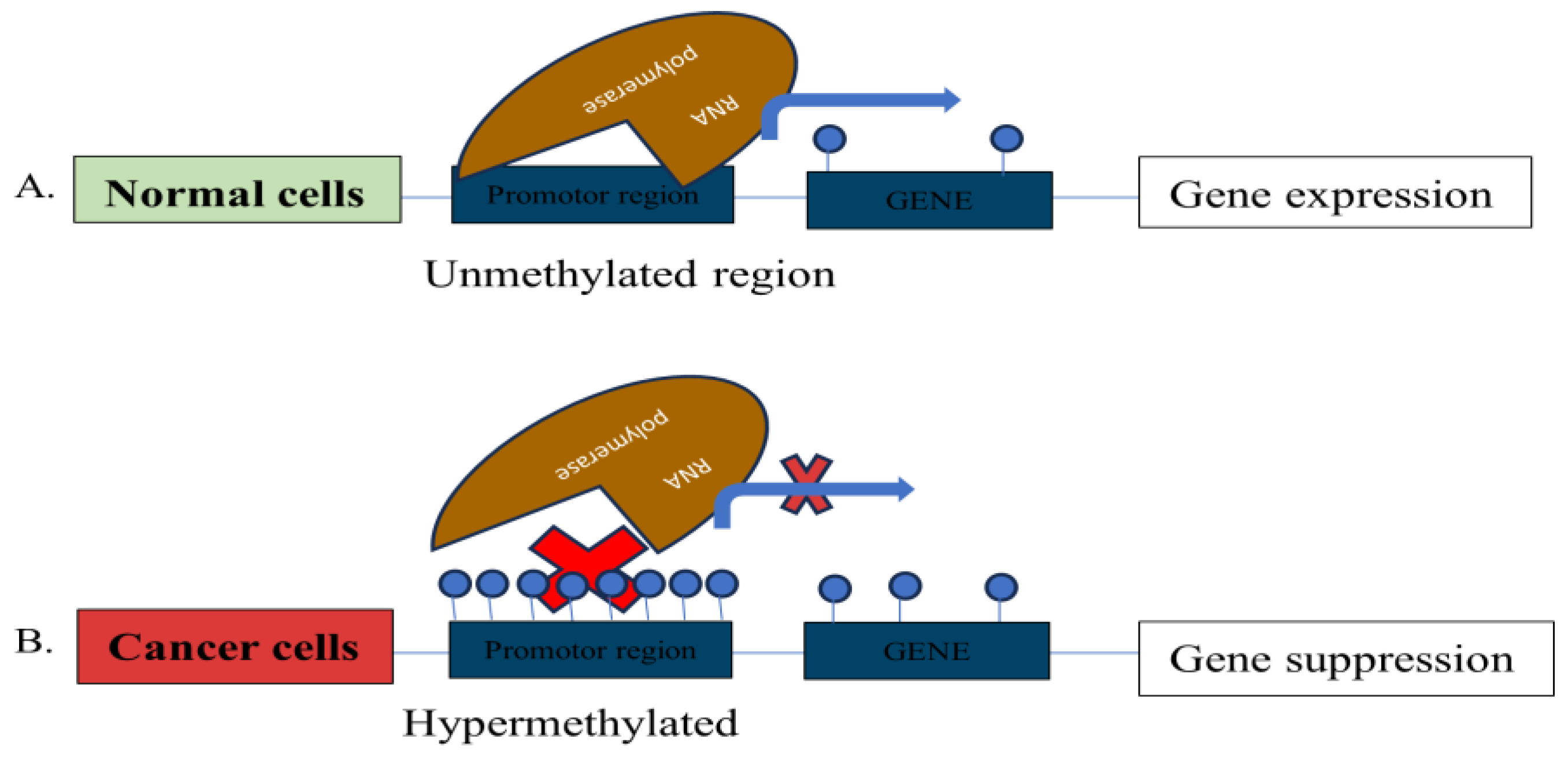 Preprints 167354 g001