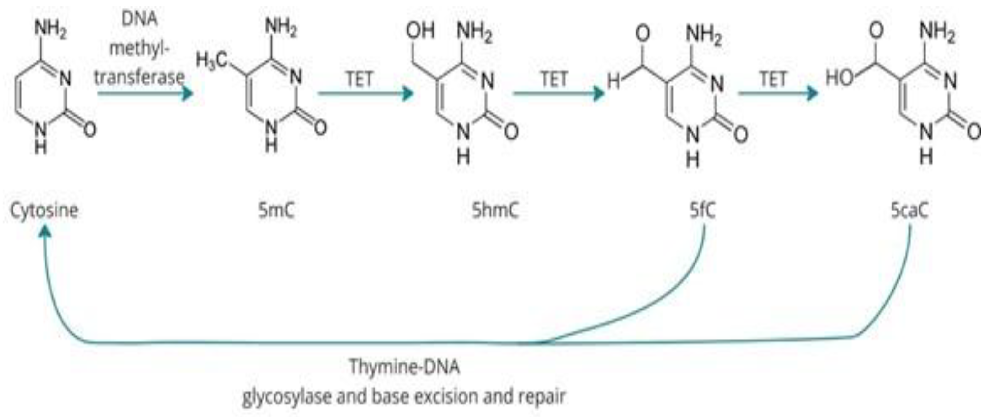 Preprints 167354 g002
