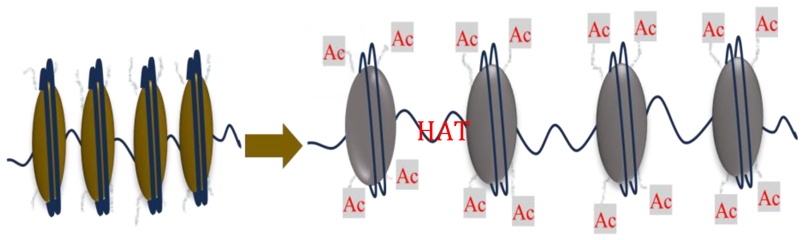 Preprints 167354 g003