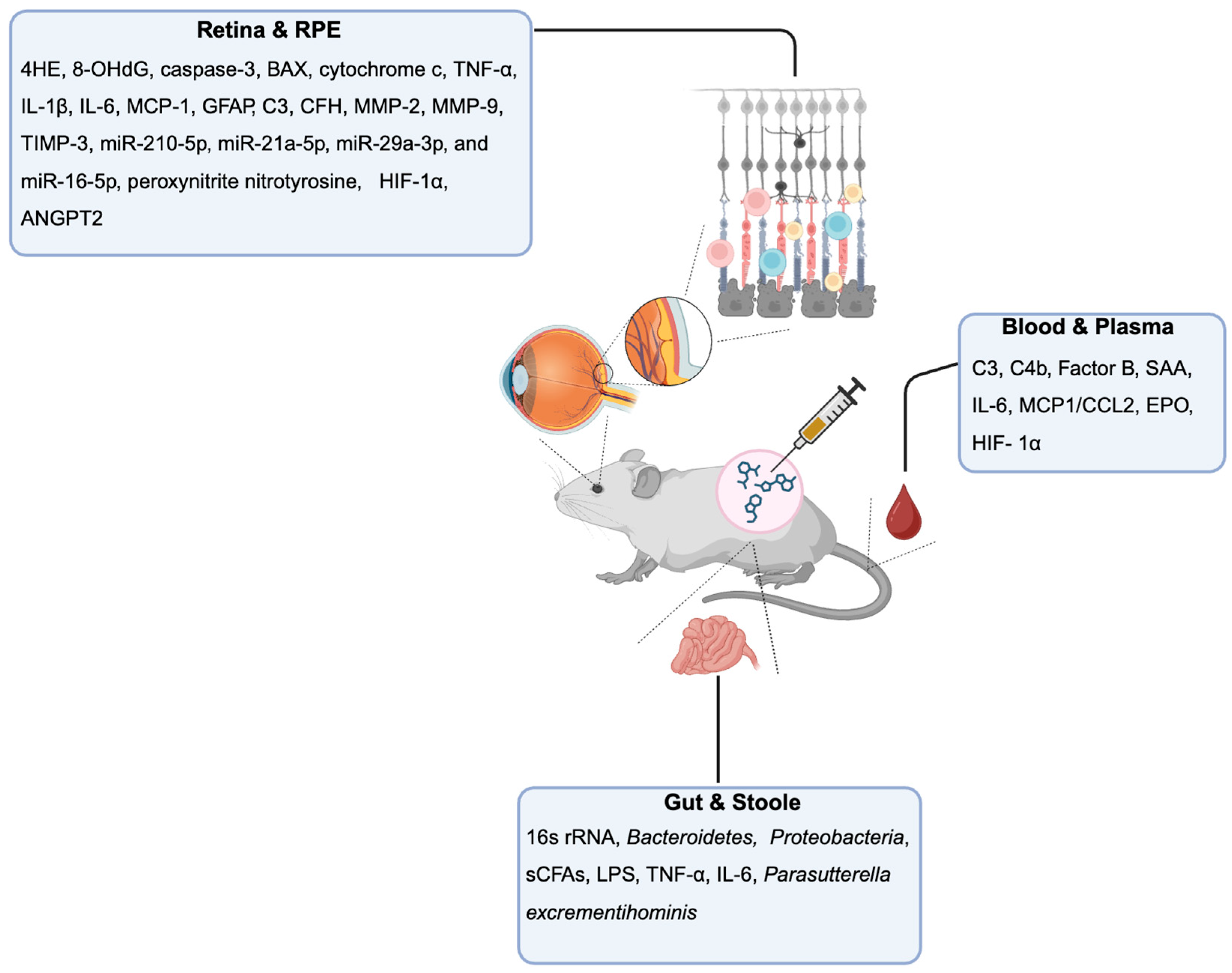 Preprints 170451 g001