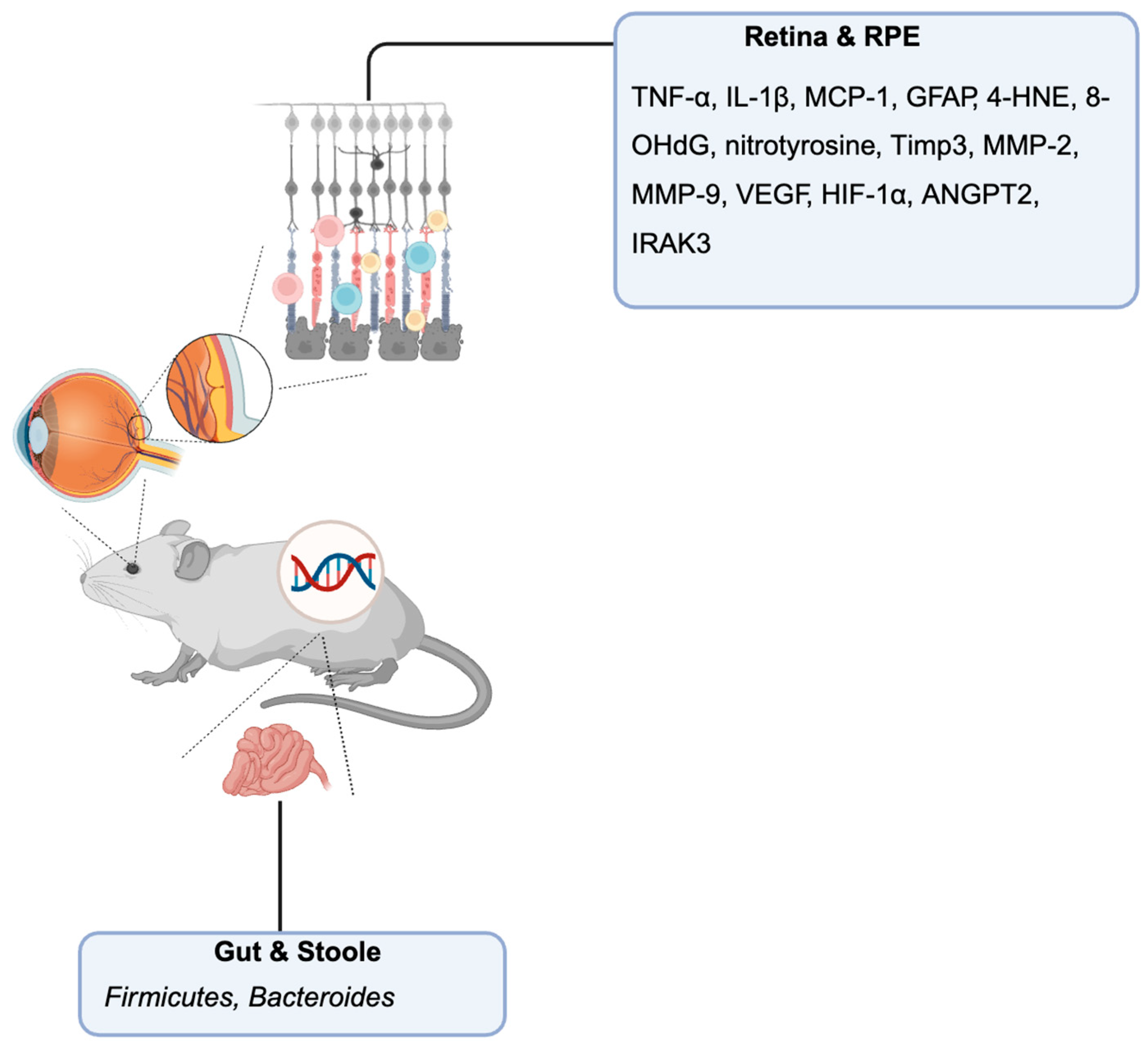 Preprints 170451 g002