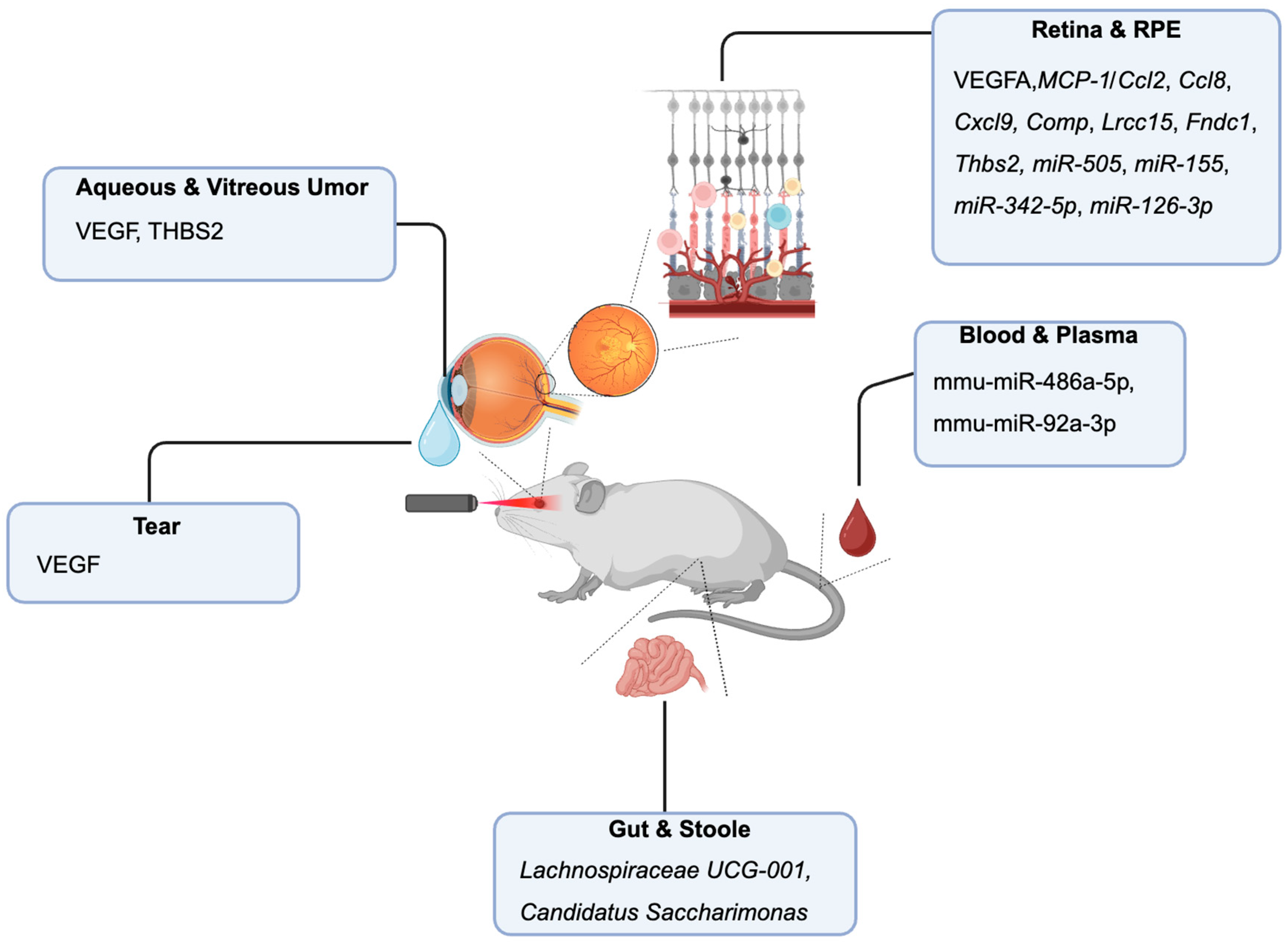 Preprints 170451 g003